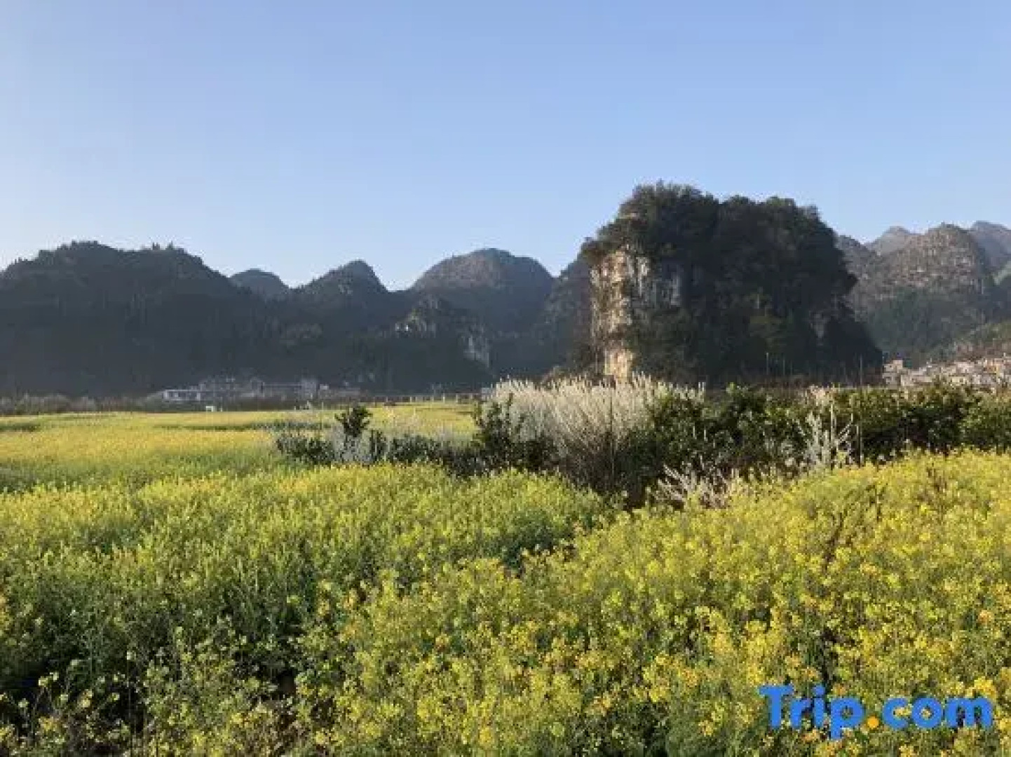 Xingyi Nanshannan Inn