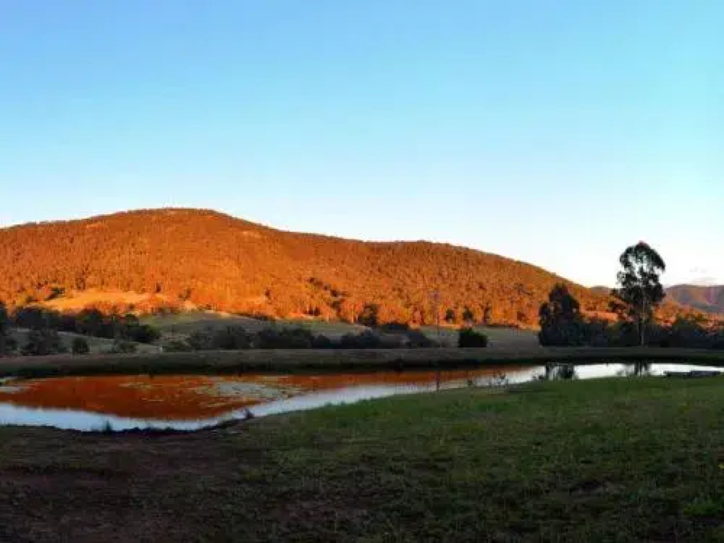 La Sila Homestead on Marrowbone - cutest cottage in the Hunter with killer views