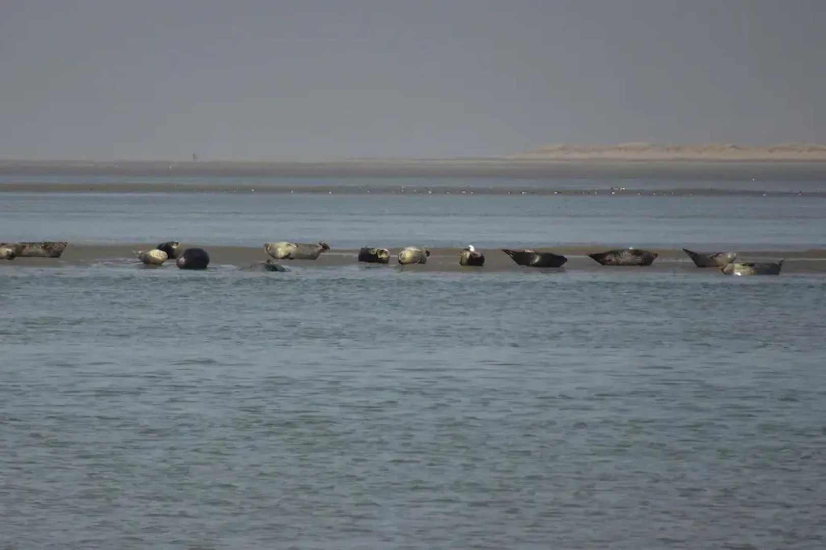 Farmhouse in Lancheres Near Somme Bay