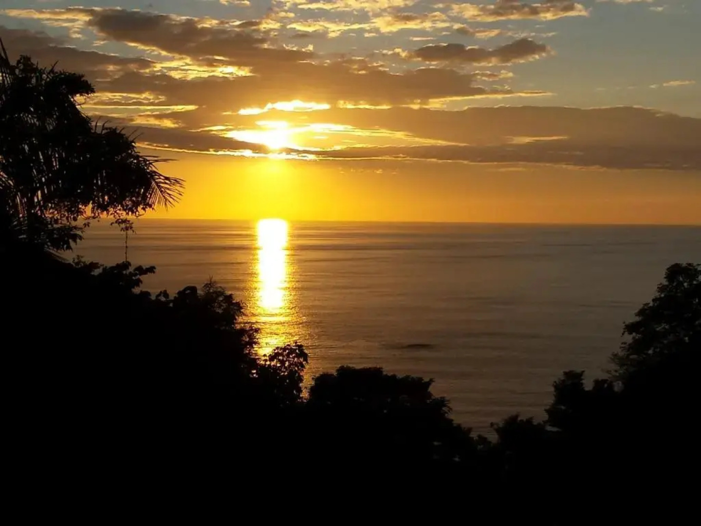 Coyaba Tropical Elegant Adult Guesthouse