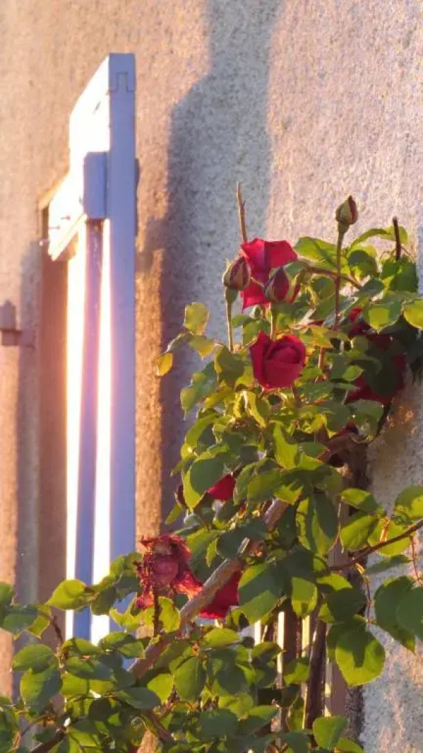 Nature's Pace Holidays