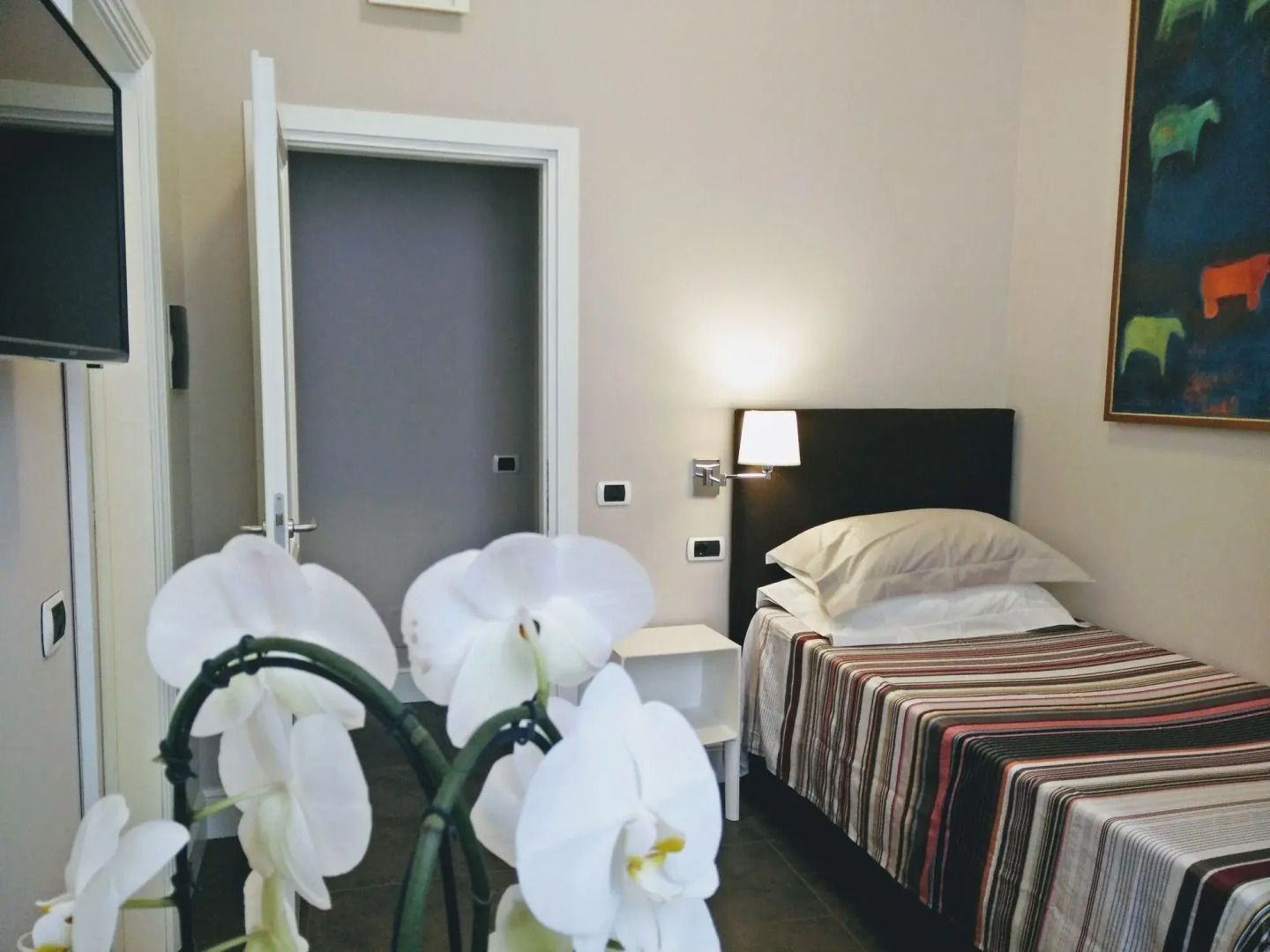 Guest House Cavour 278