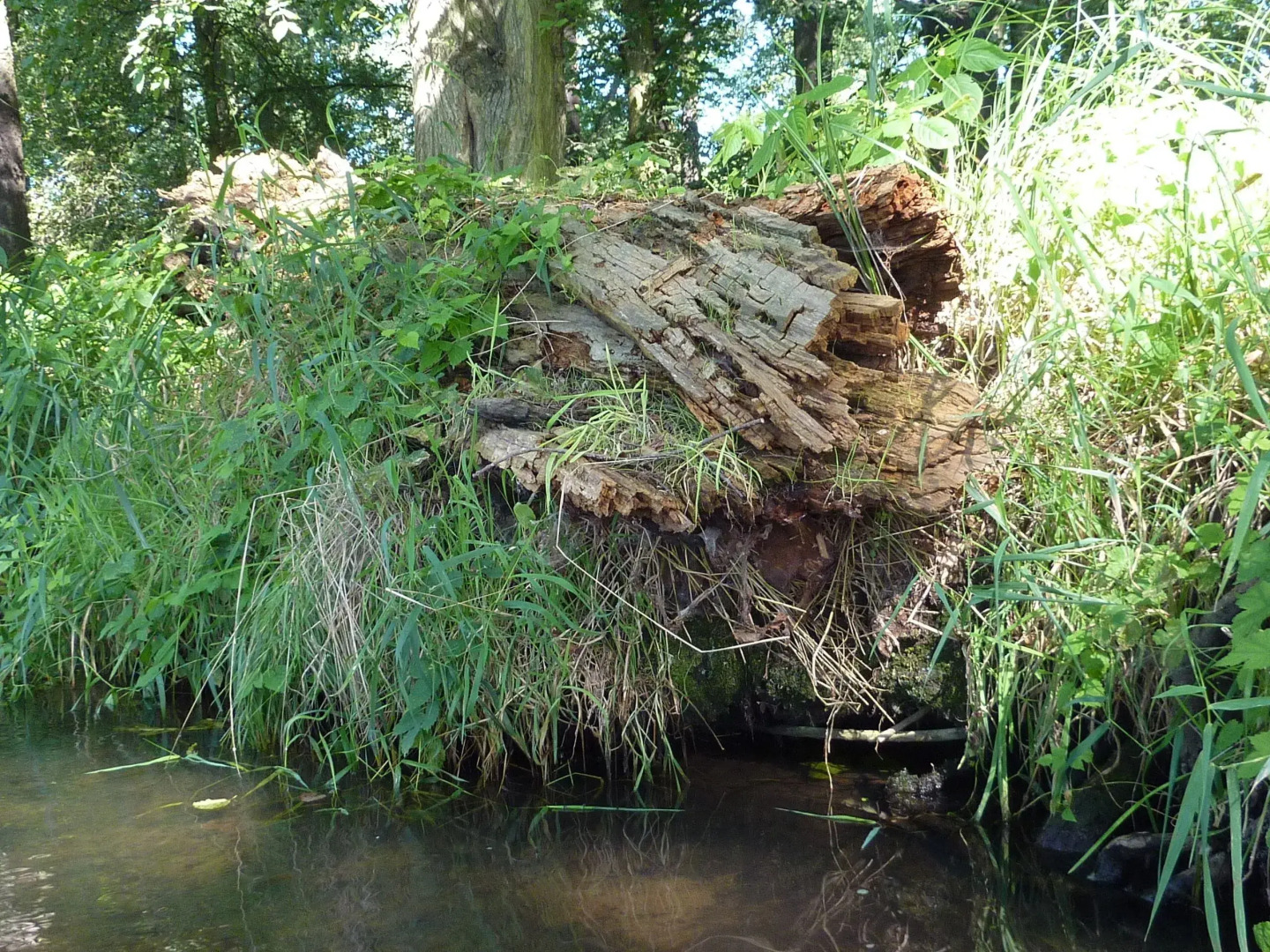 Spreewald - Pension Spreeaue