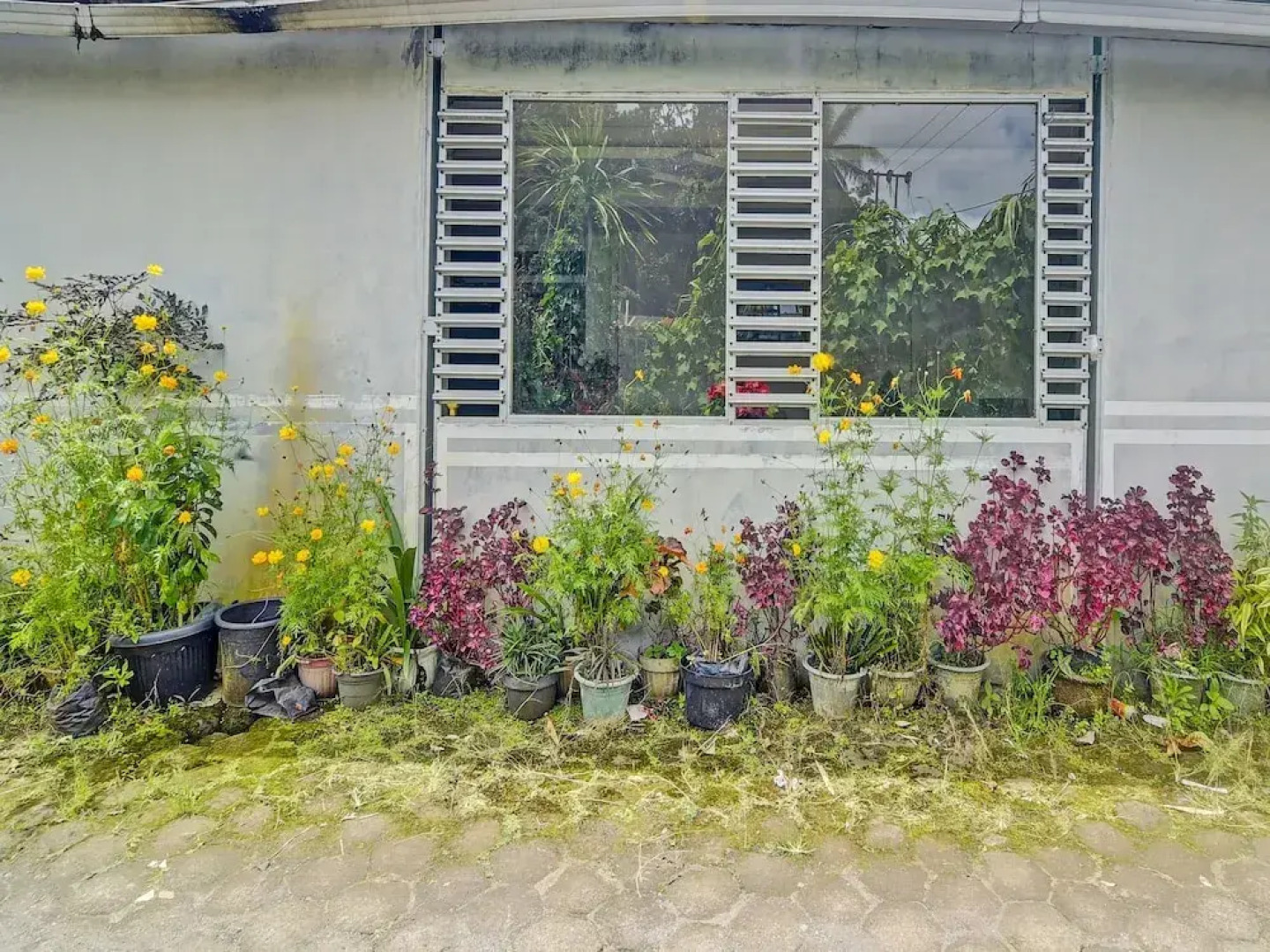 Hotel O Susupuan KostNearTaman Deki Lestari