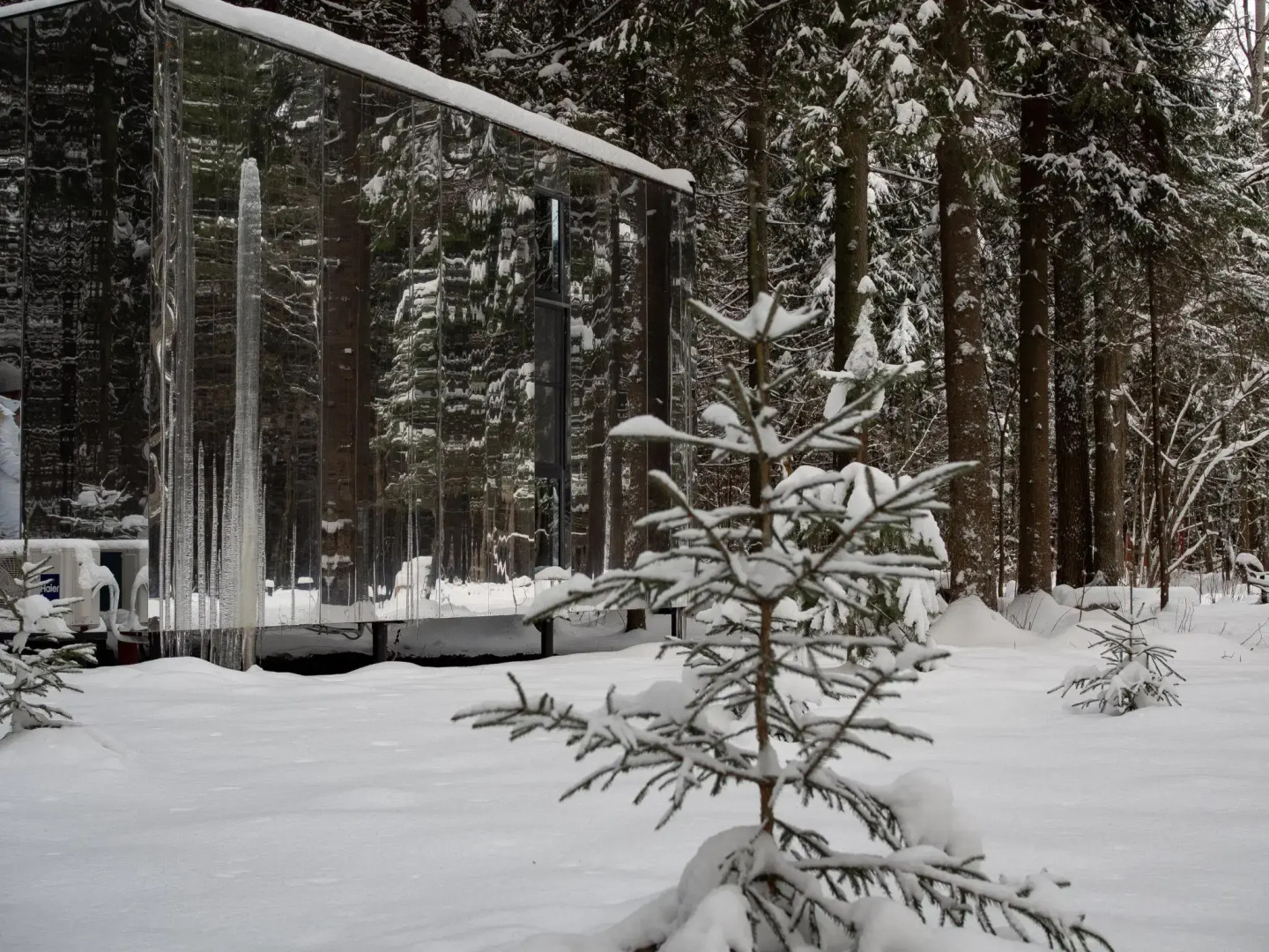 Озеро белых лилий