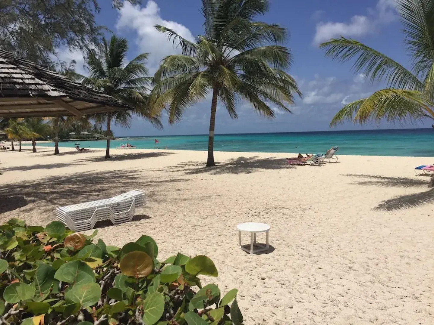 Great Apartment in Bridgetown, Barbados Bargain