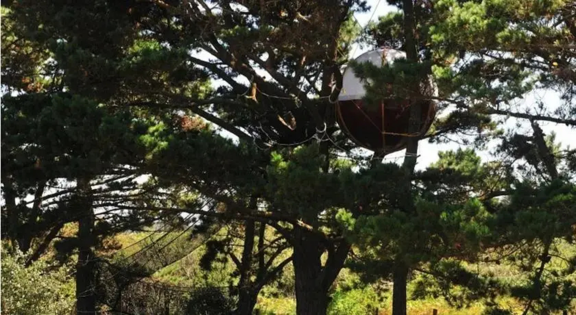 Les Nids du Parcabout