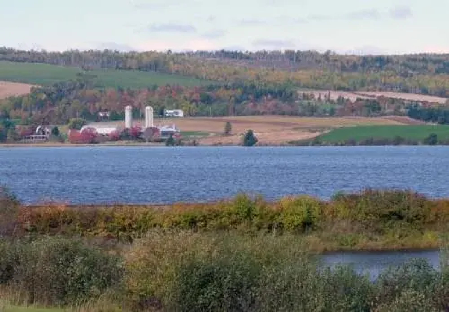 Rose and Thistle Bed and Breakfast