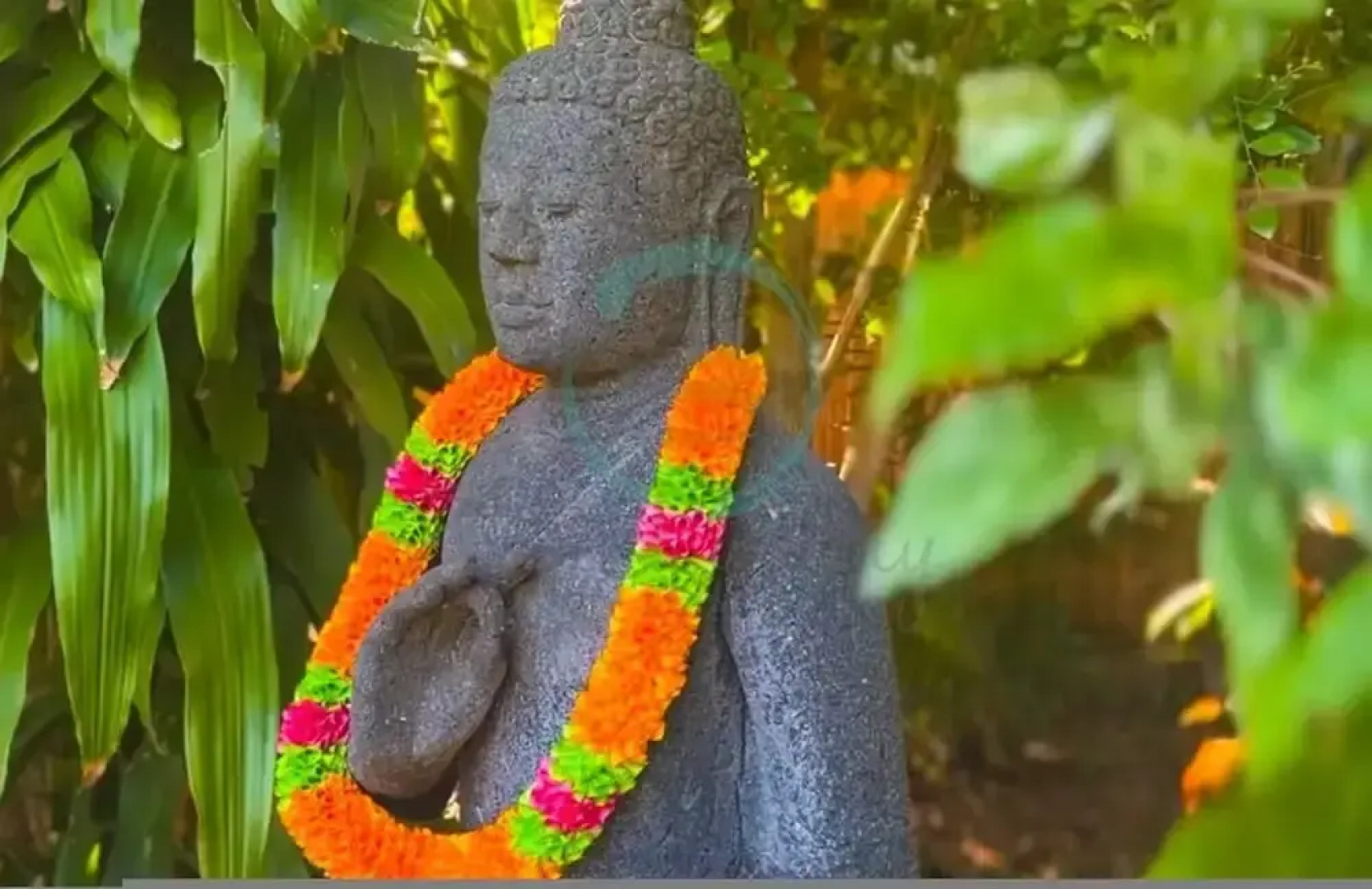 Zenhouse Bali Pool Garden Massive Grounds