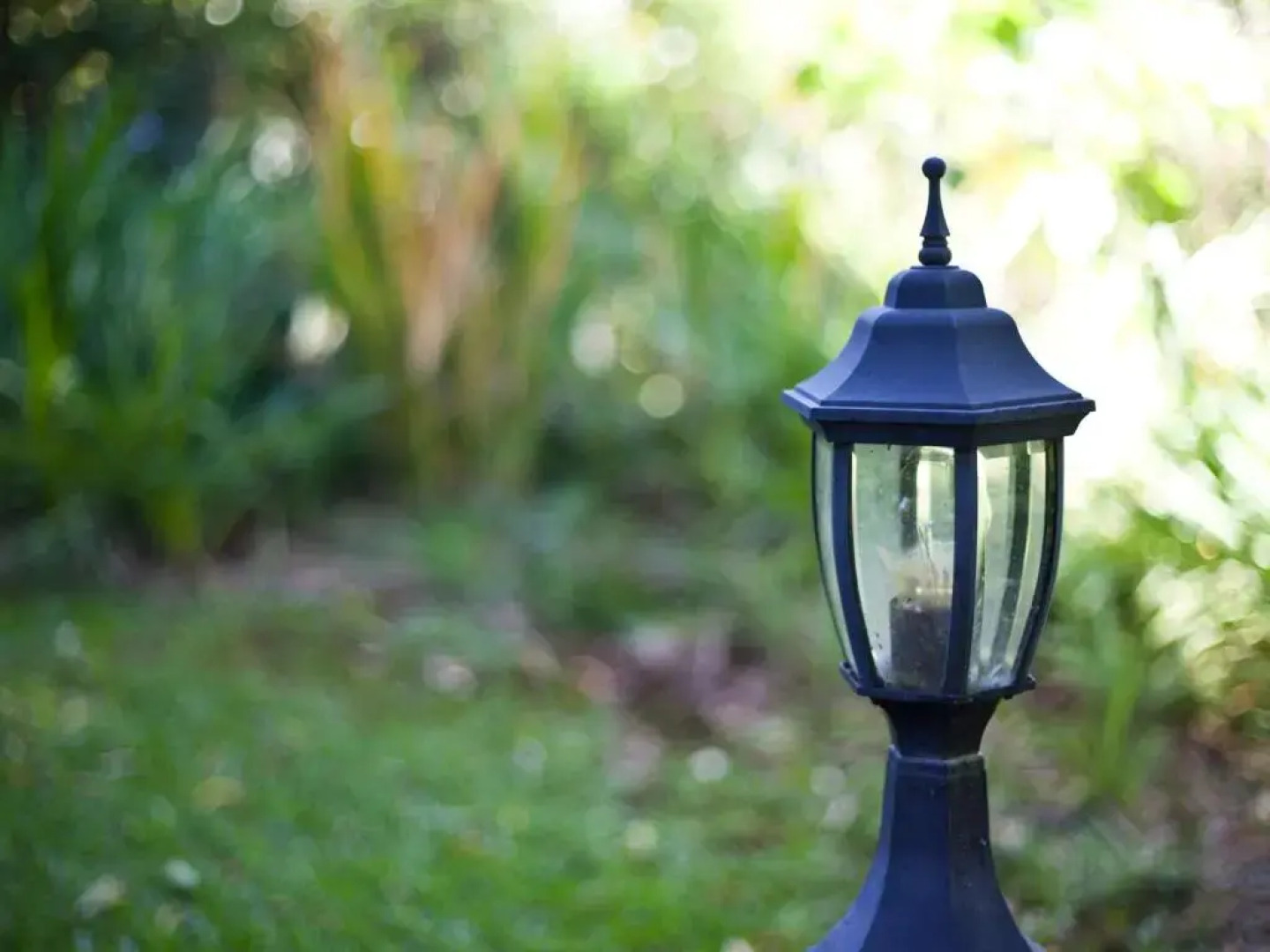 Andelomi Forest Lodge