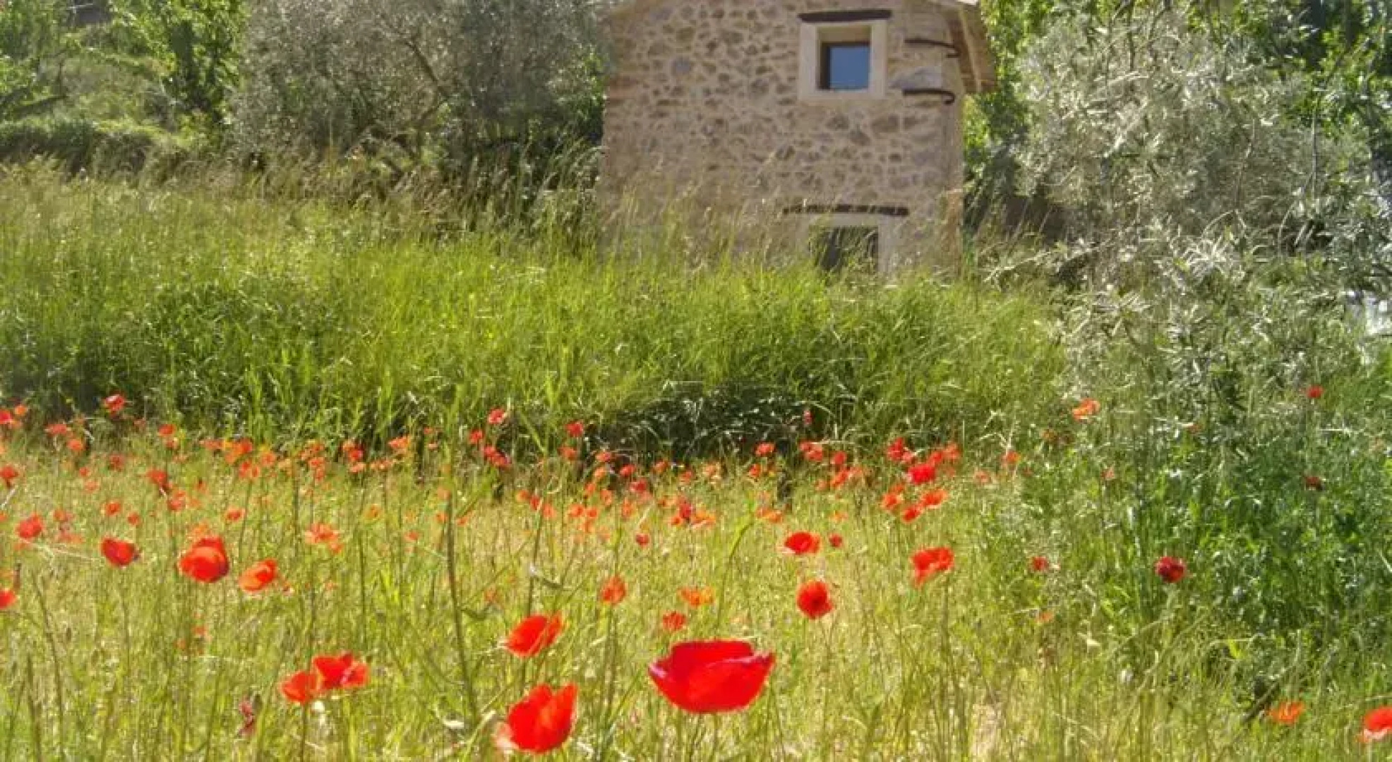 Gites Thierry Teyssier