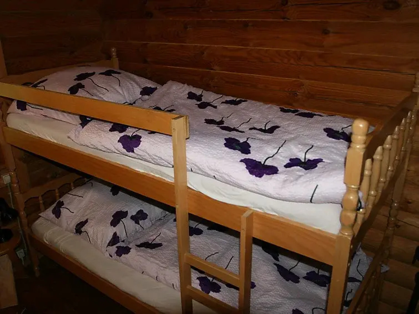 Chalet Birdieferienhaus