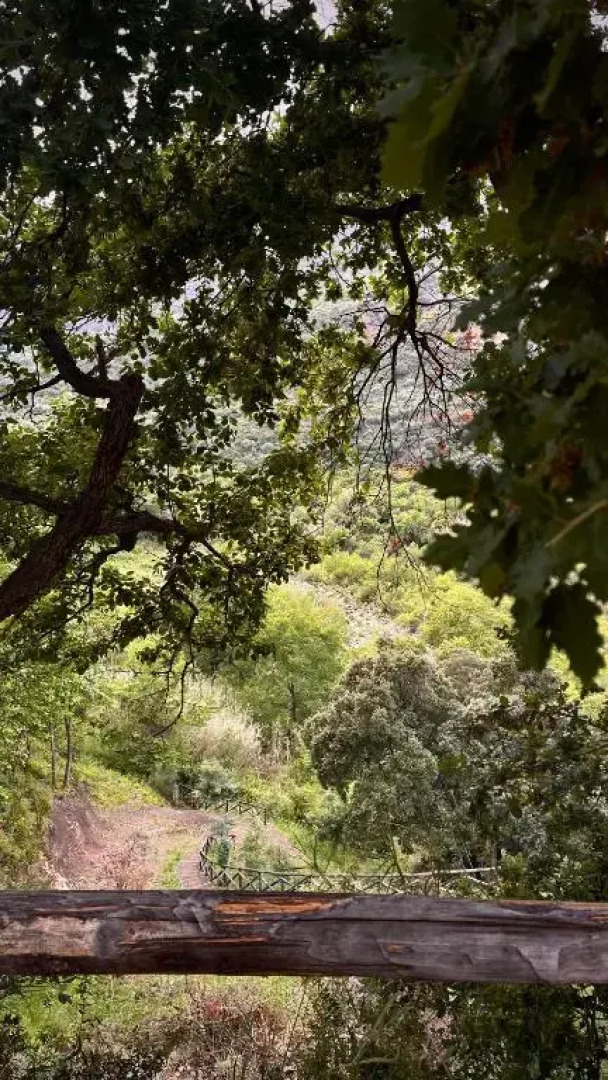 Case Vacanze Farinella