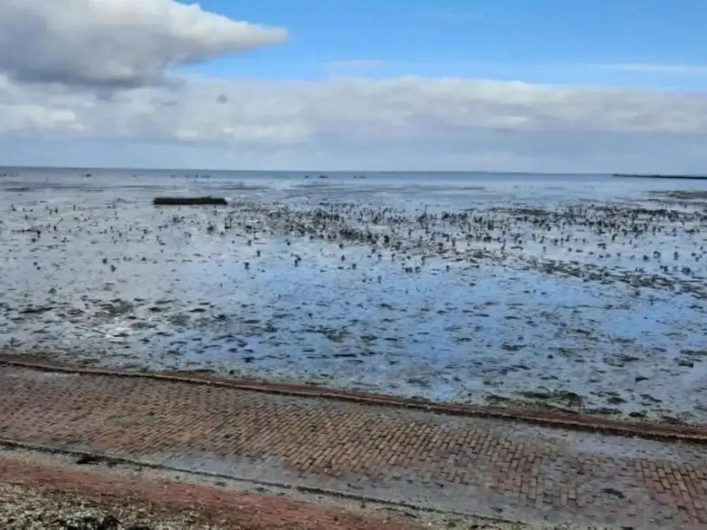 Guesthouse Friesland Ternaard Near Heritage