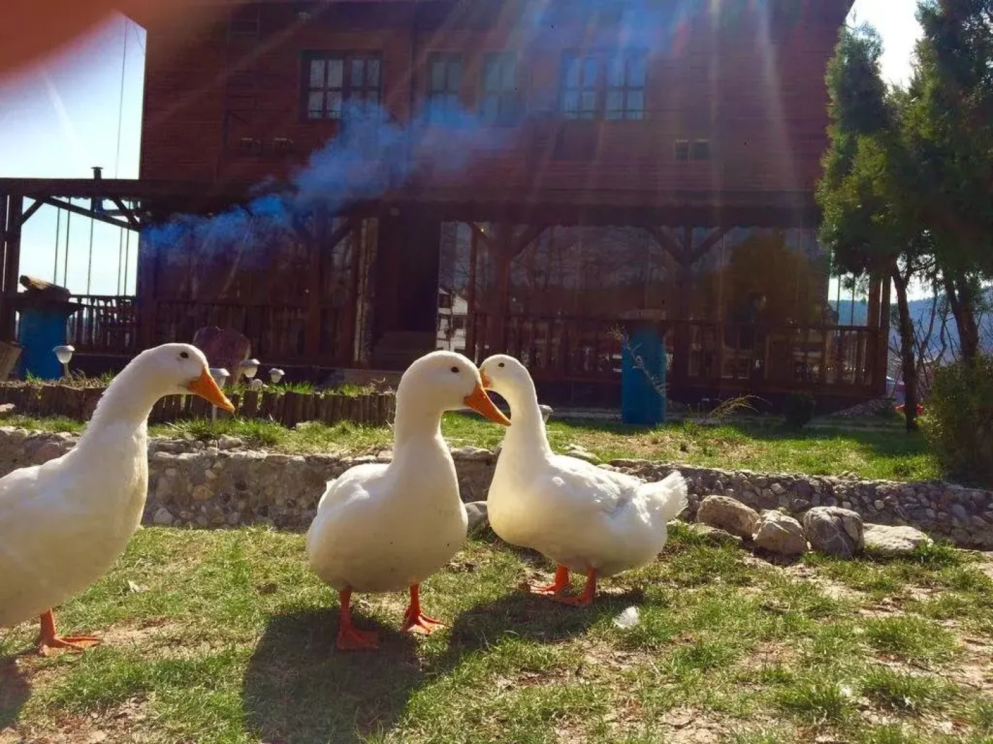 NeSS Abant Butik Hotel