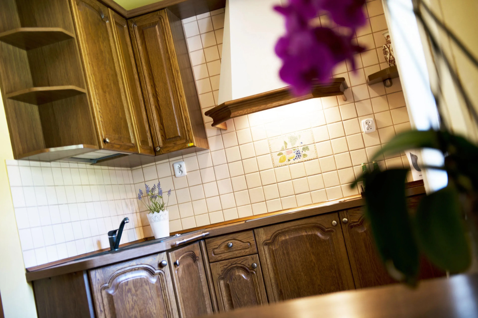 Hotel Dworek Wapionka