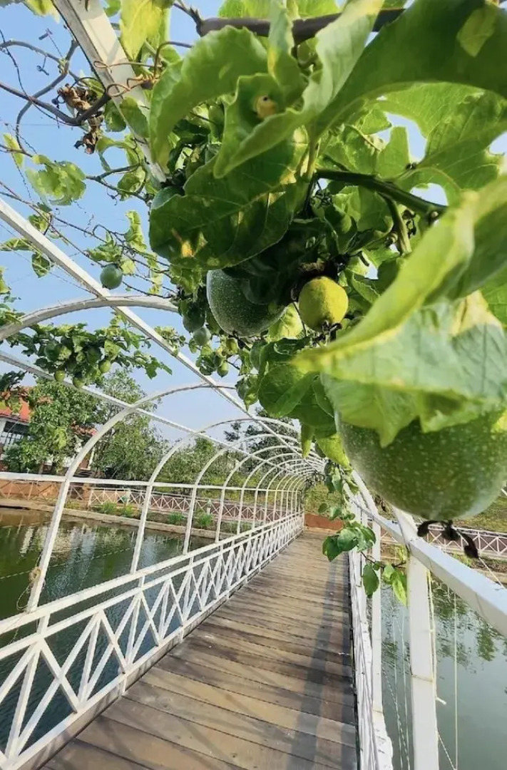 The Park Resort Mondulkiri