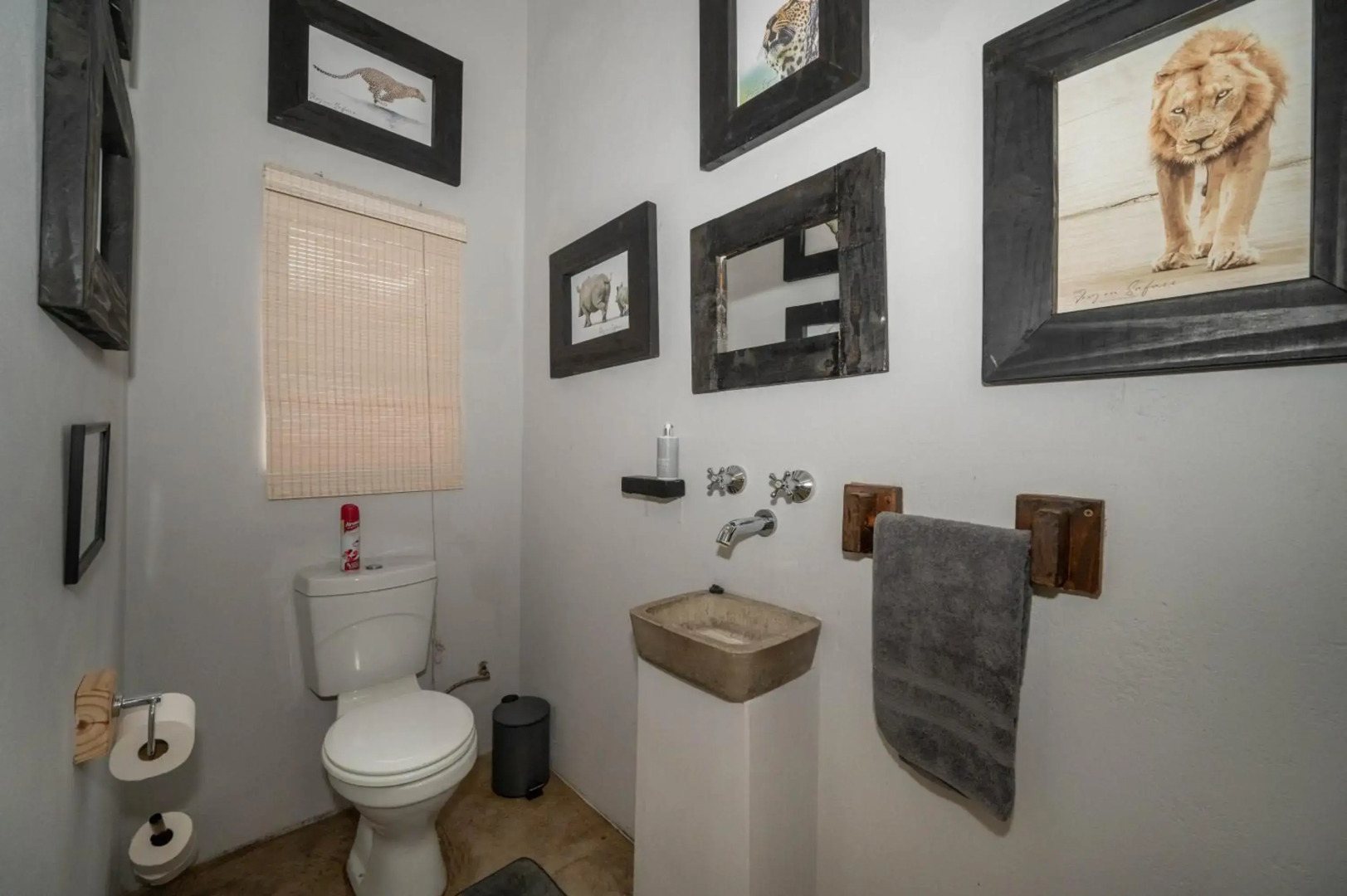 Foxy Crocodile Bush Lodge & Kruger Safari's - No Loadshedding