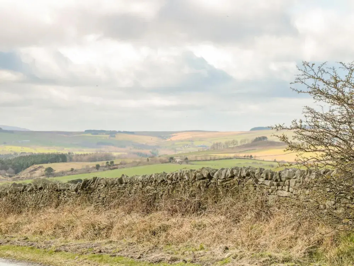 Stublic View The Drive Lodge