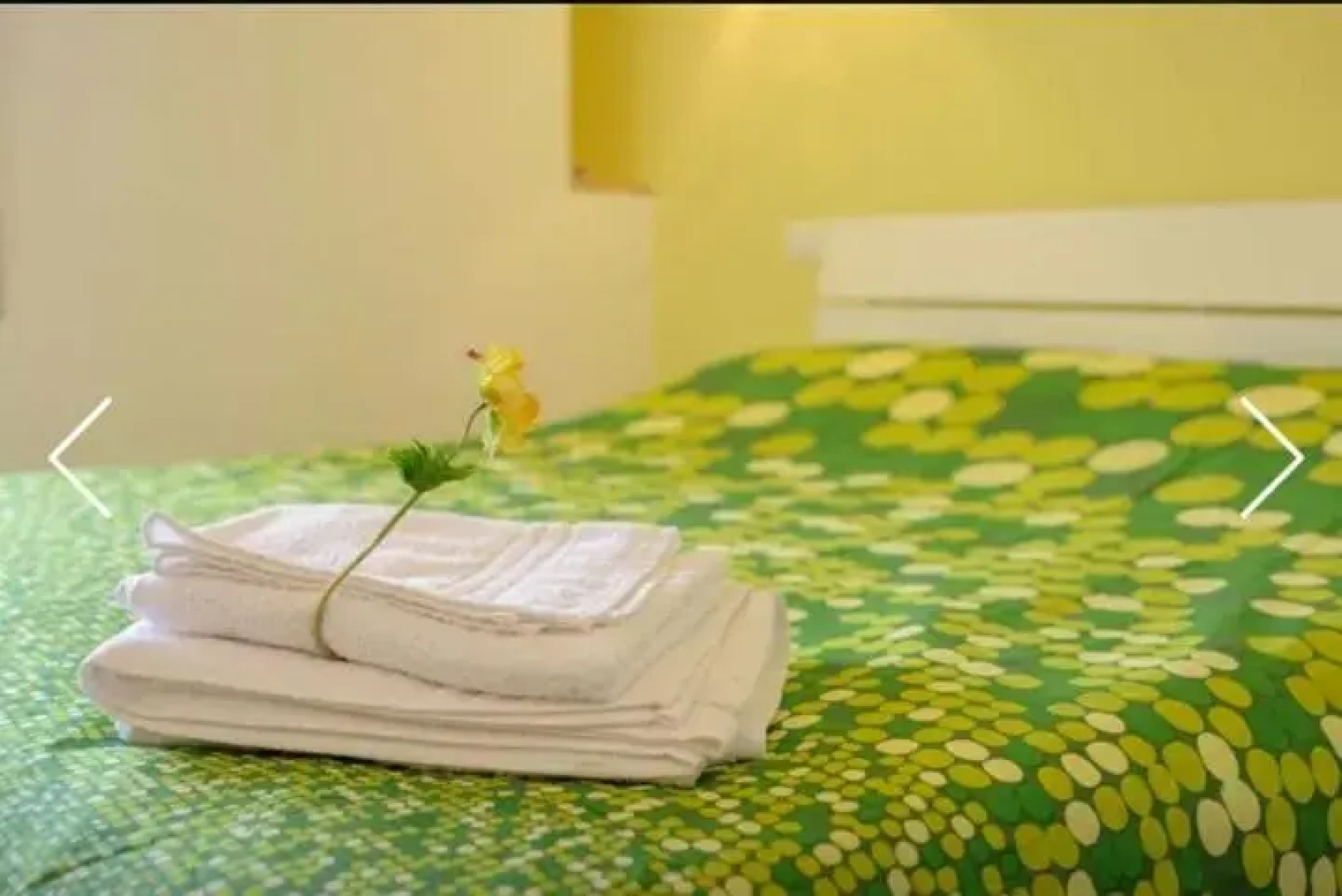 Casa Vacanze Il Gelso Rosso