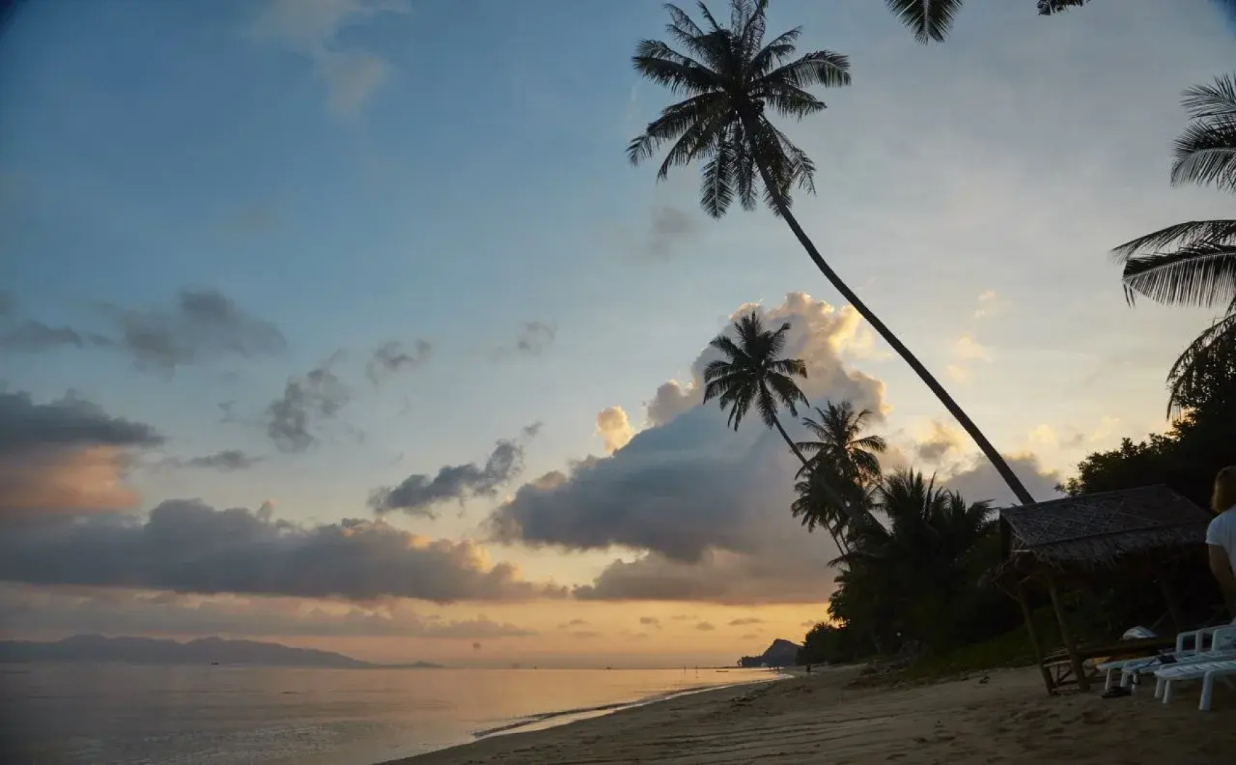 Natural Wing Health Spa and Resort