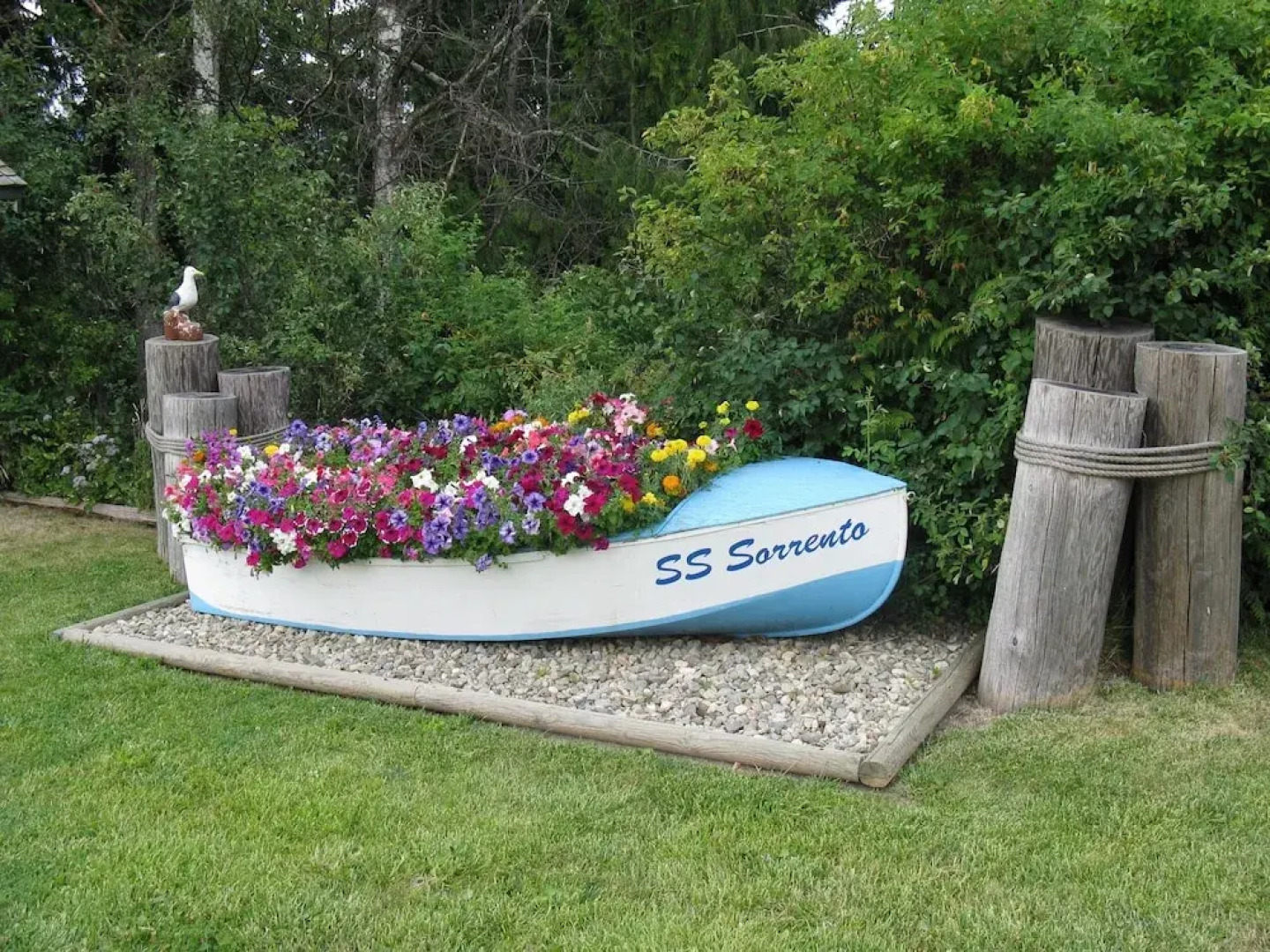 Shuswap Lake Motel & Resort
