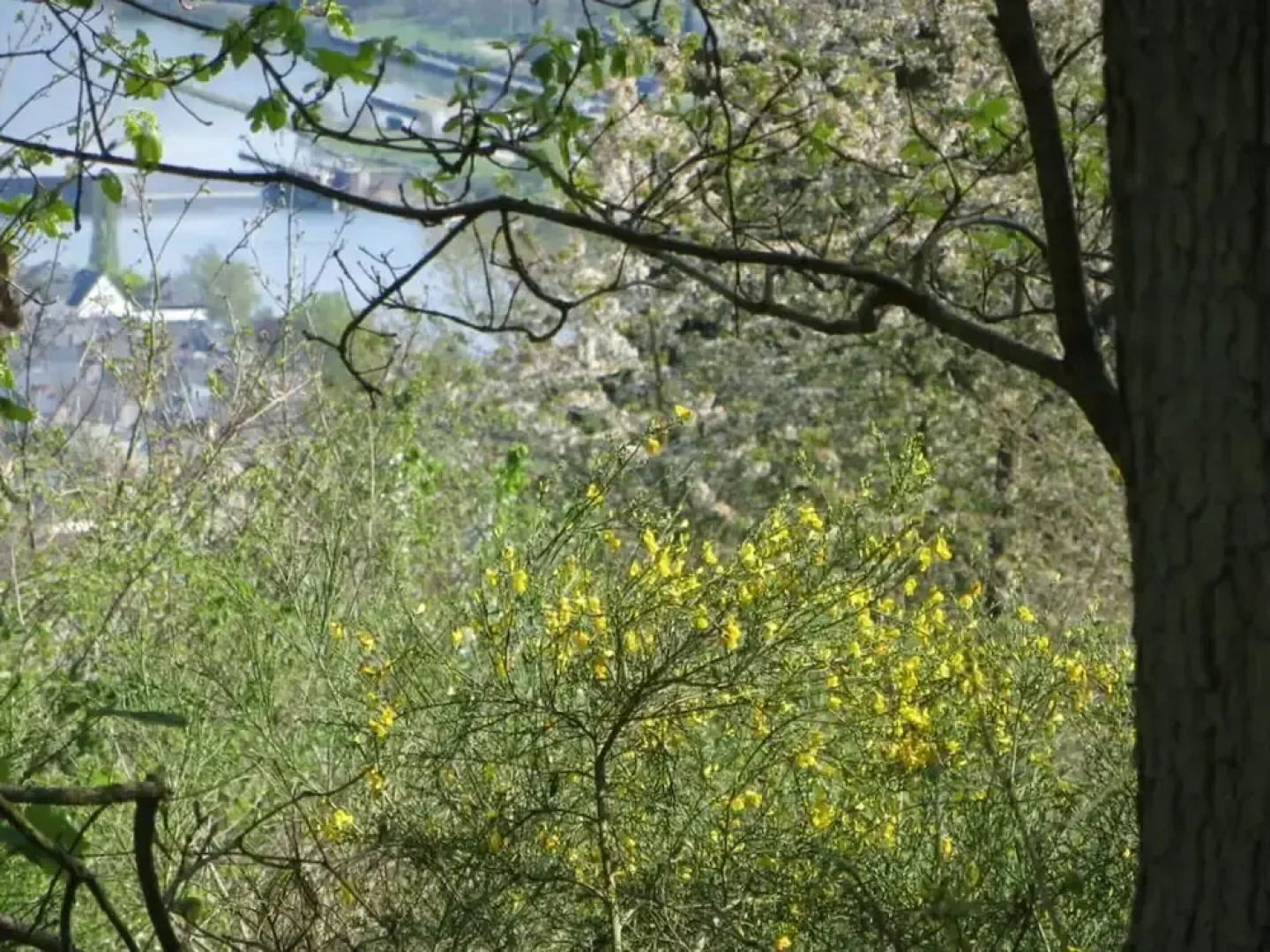 Foahrgaass 7a Modern Retreat