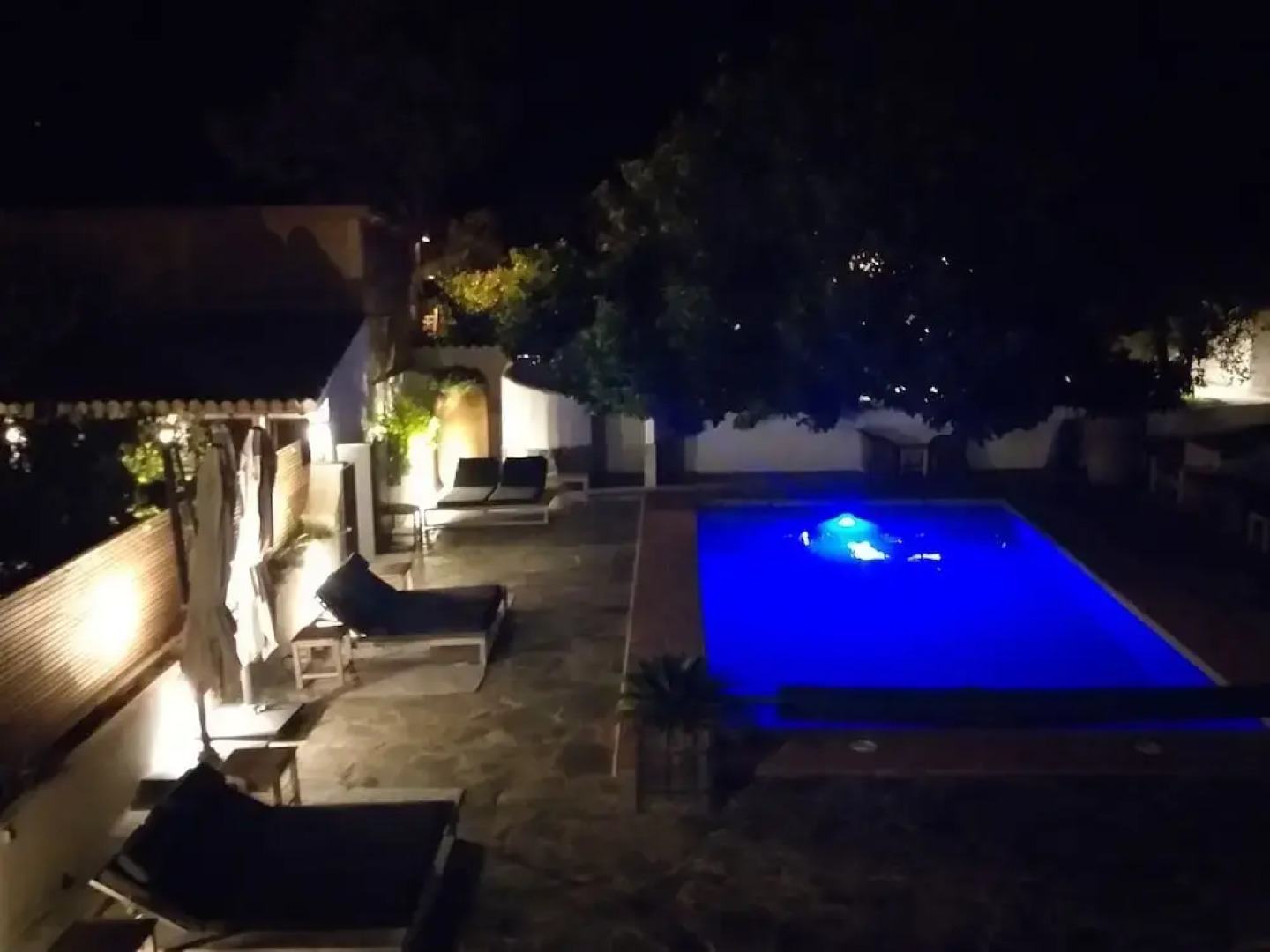 El Violin Experiencia