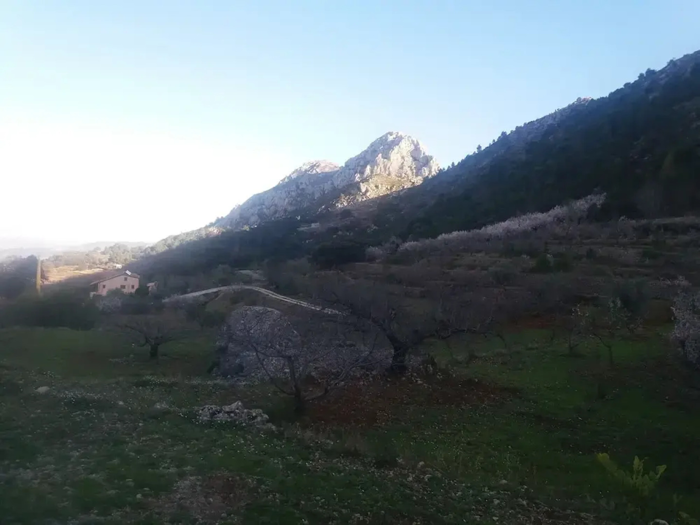 The Ca Lluis Rural House