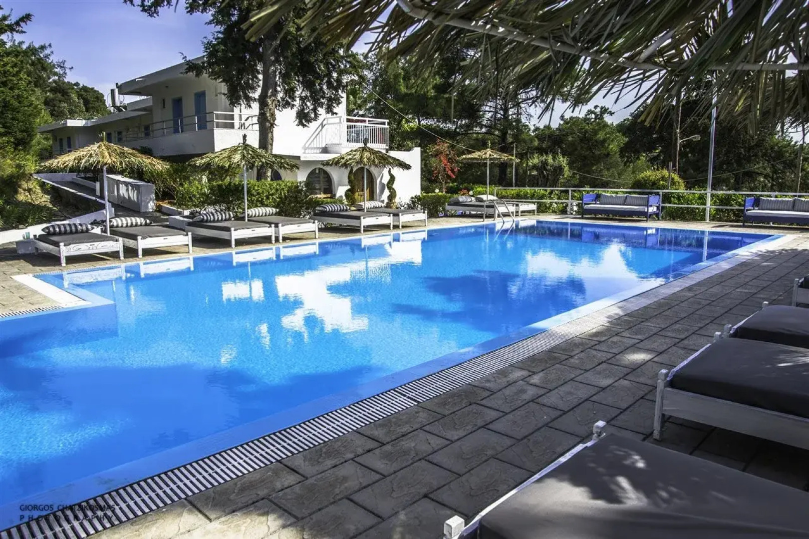 Отель Trees Art Boutique