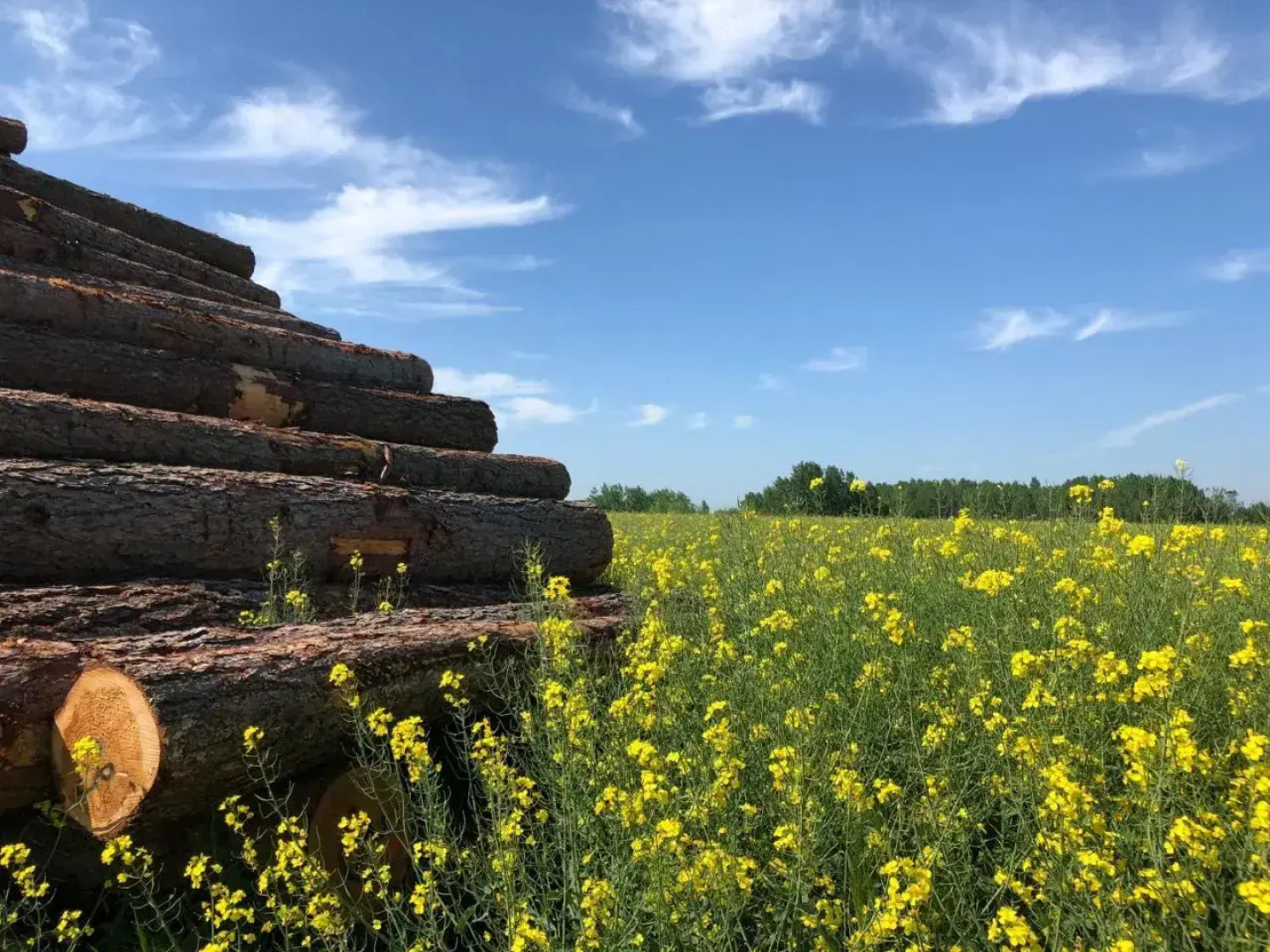 Pension | vonBartsch