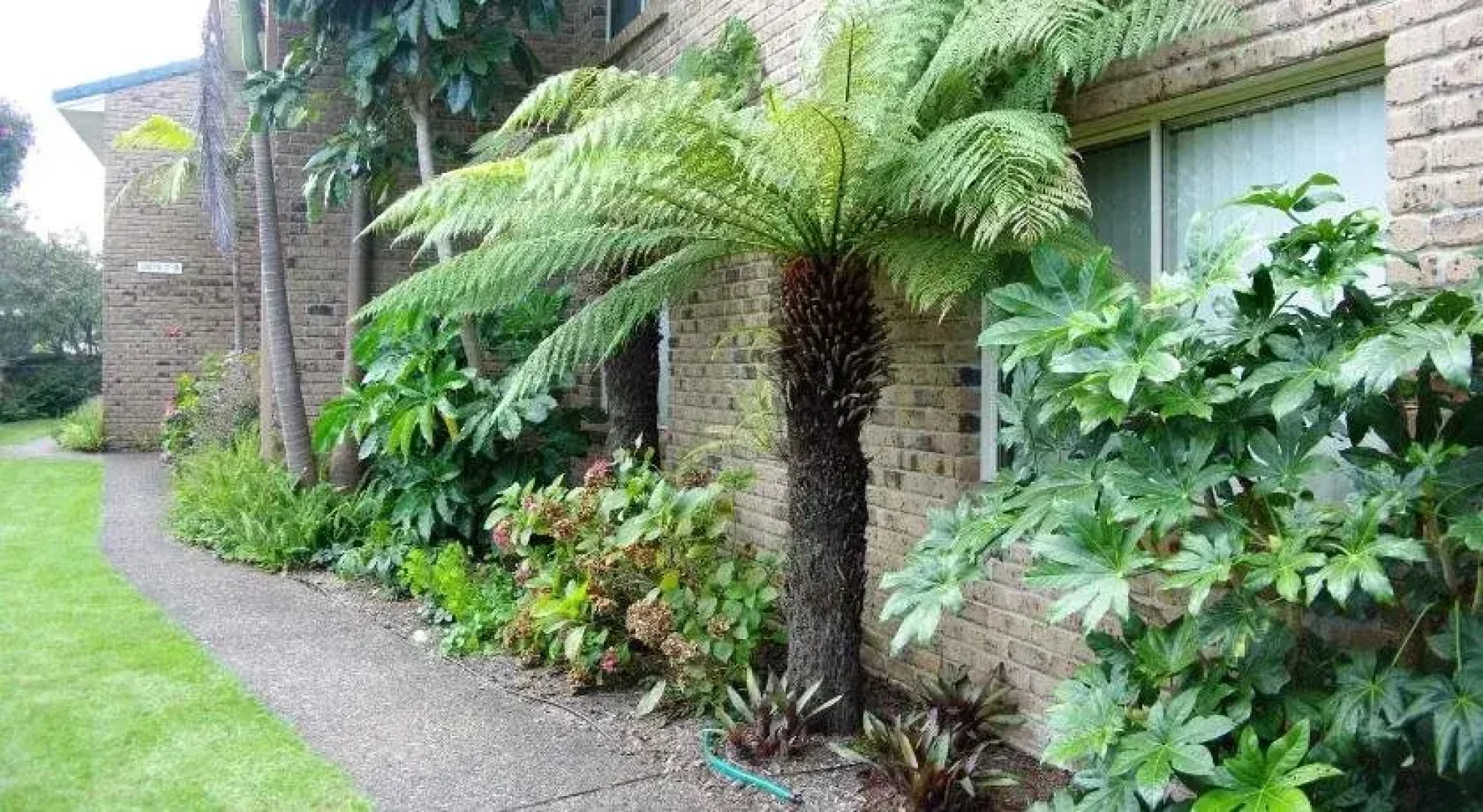 Beachfront Apartments