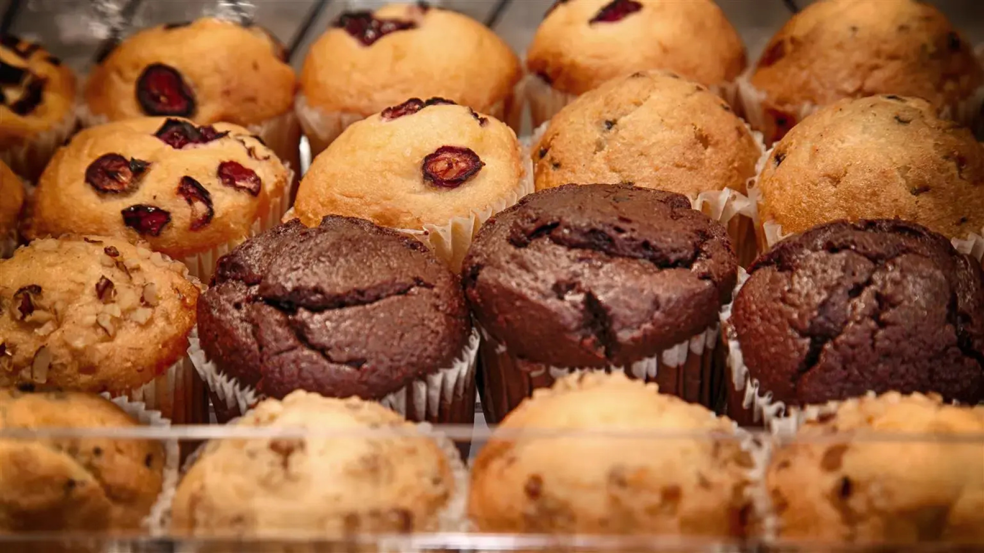 Best Western Bishop Lodge