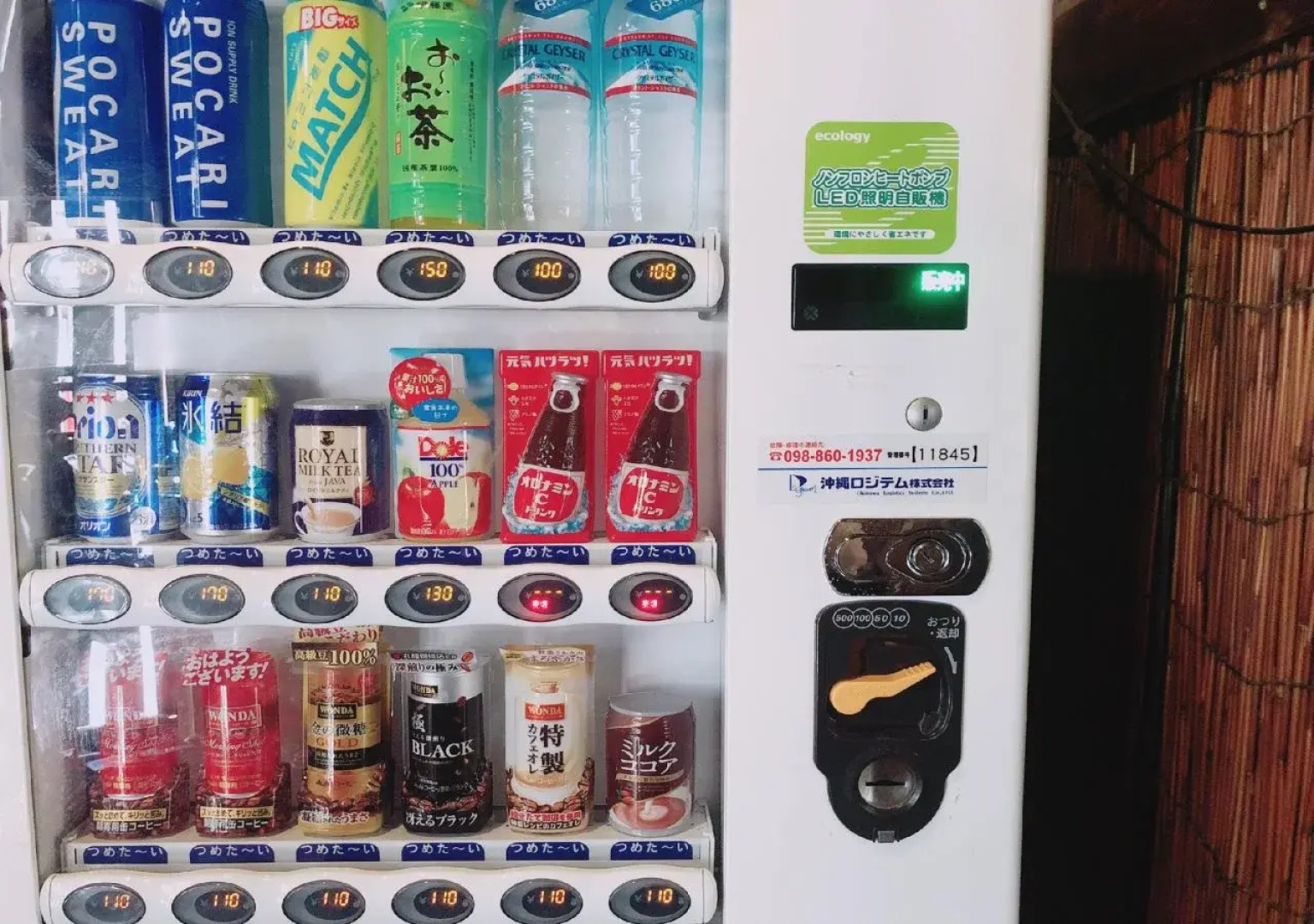 Guesthouse CamCam Okinawa - Hostel