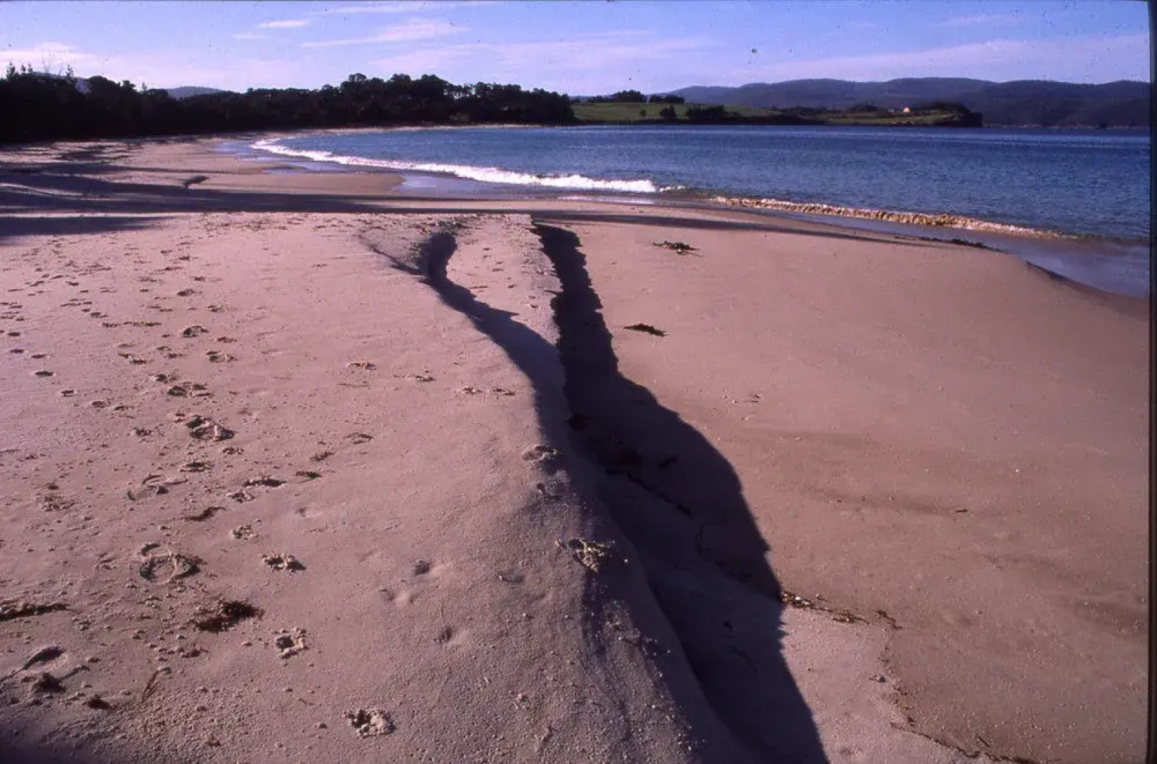 Sea Change Safety Cove