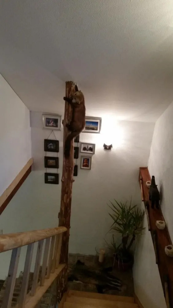 Ferienhaus Zum Jägerstübchen