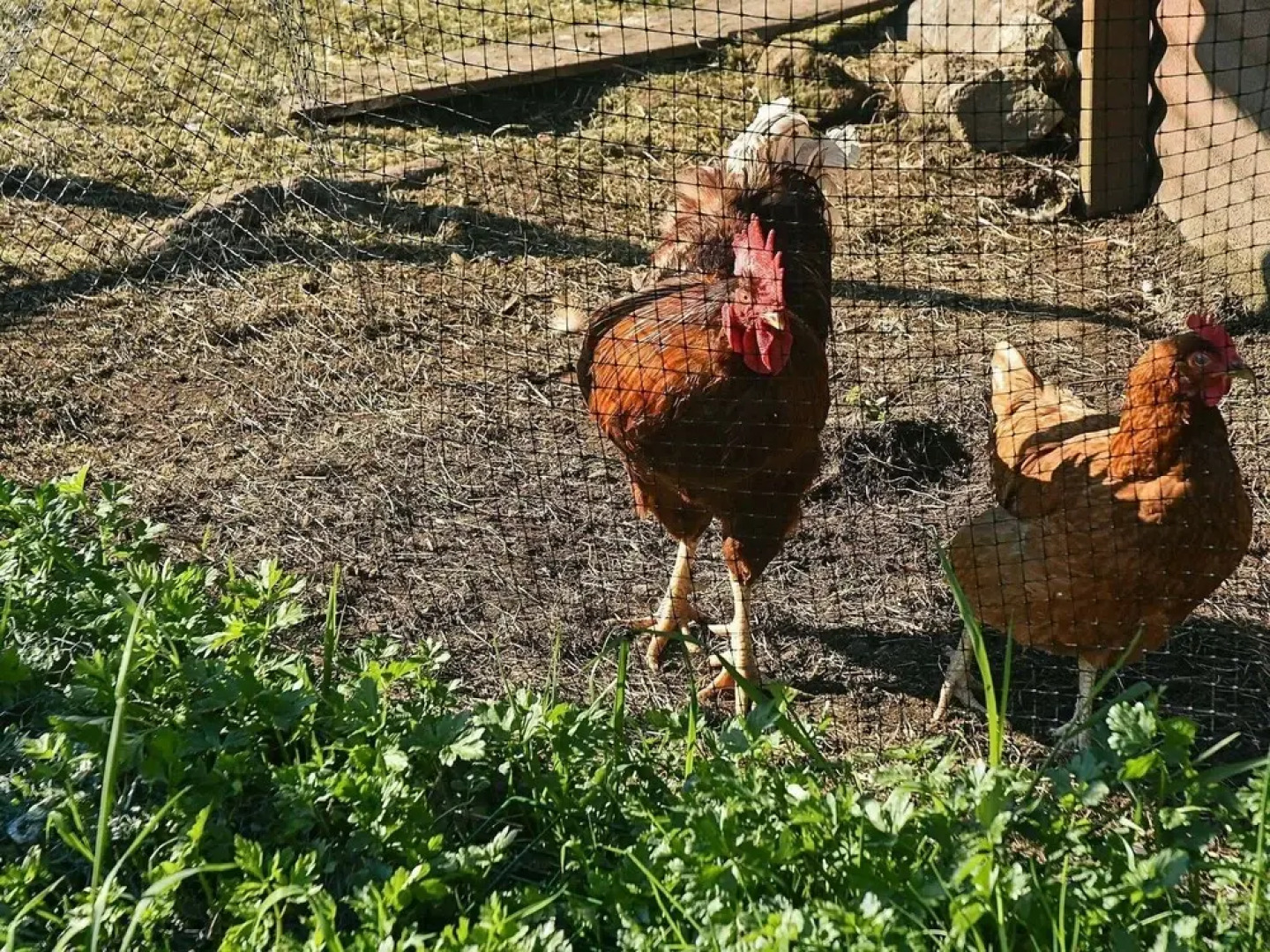 8 Person Holiday Home in Uggdal