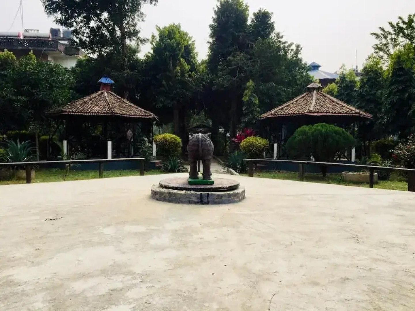 Safari Wildlife Lodge & Camp