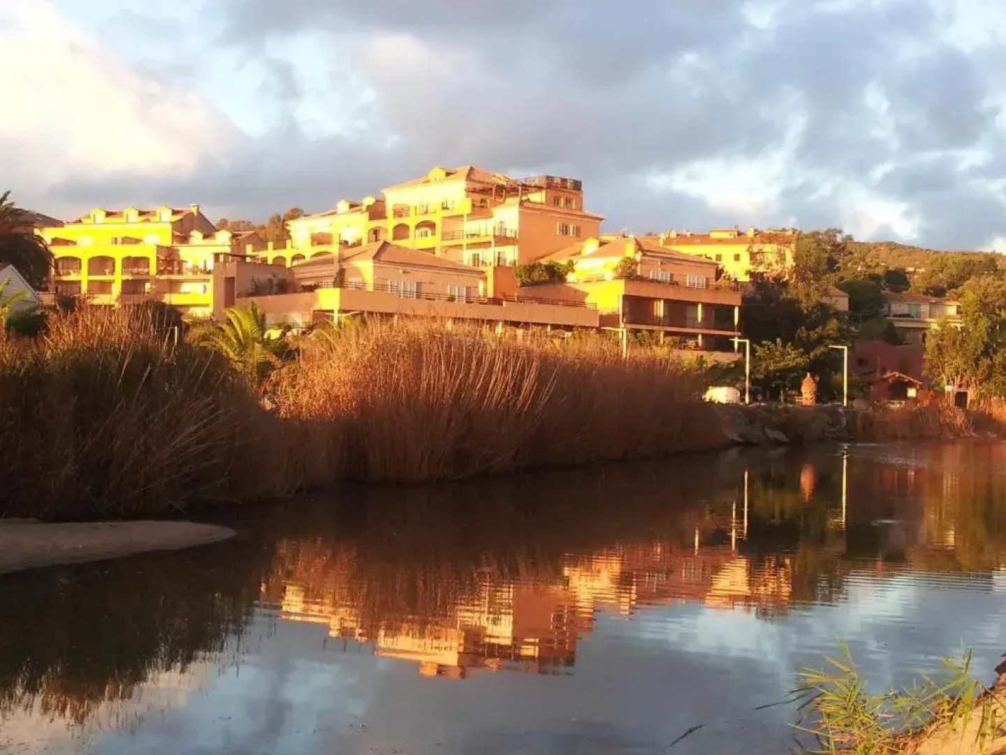 Palmeraie 404- Vue Mer