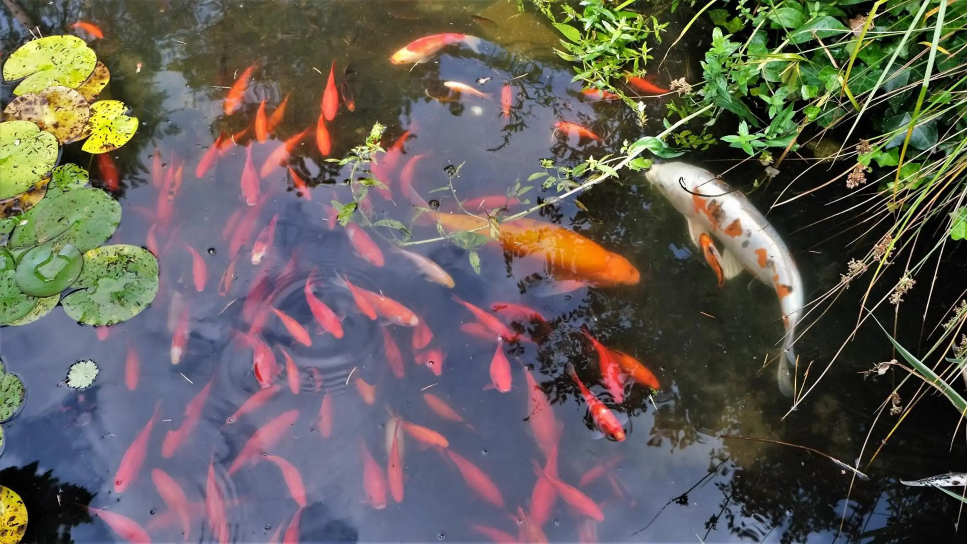 Vakantiewoning Salland