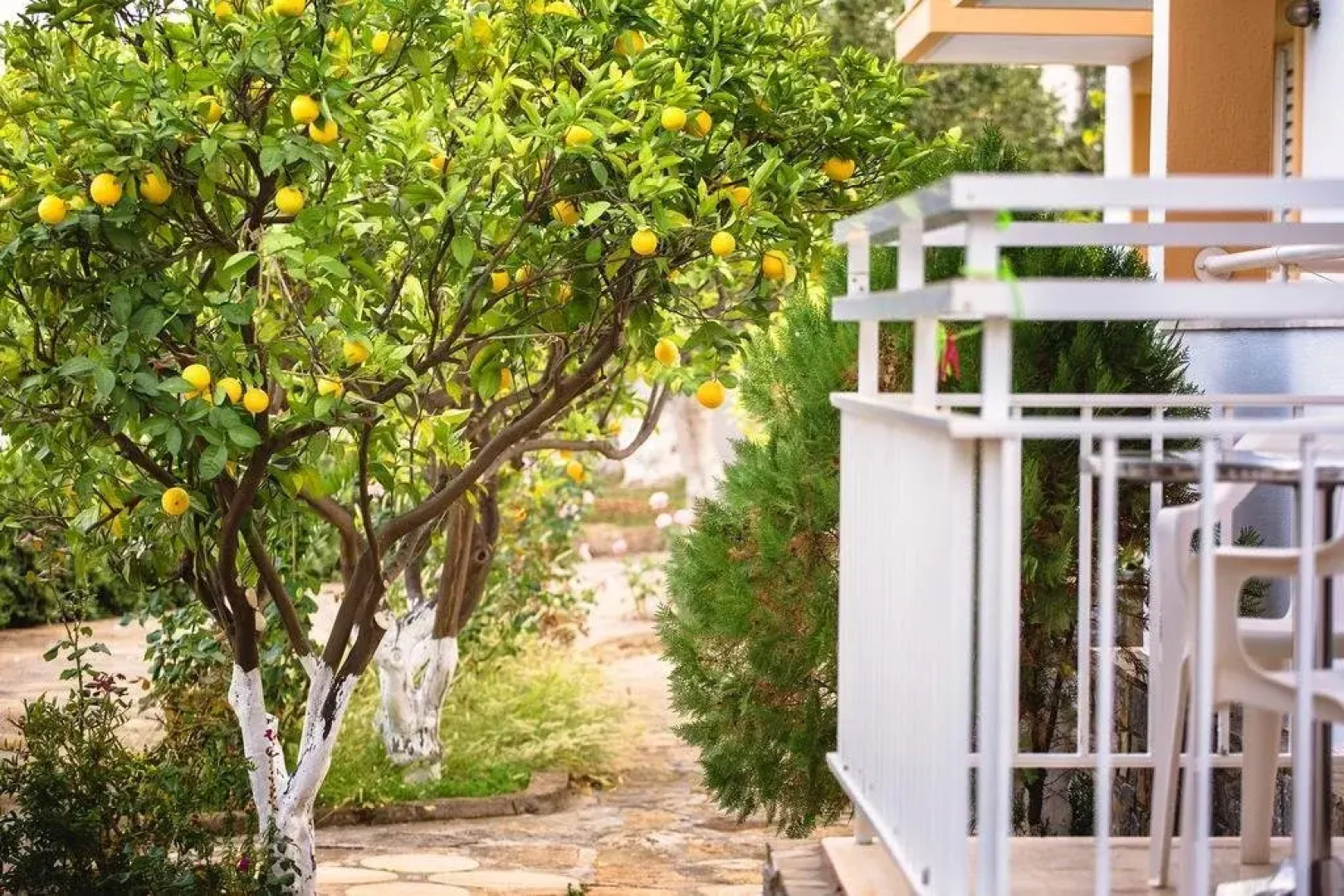 Primavera Paradise Apartments