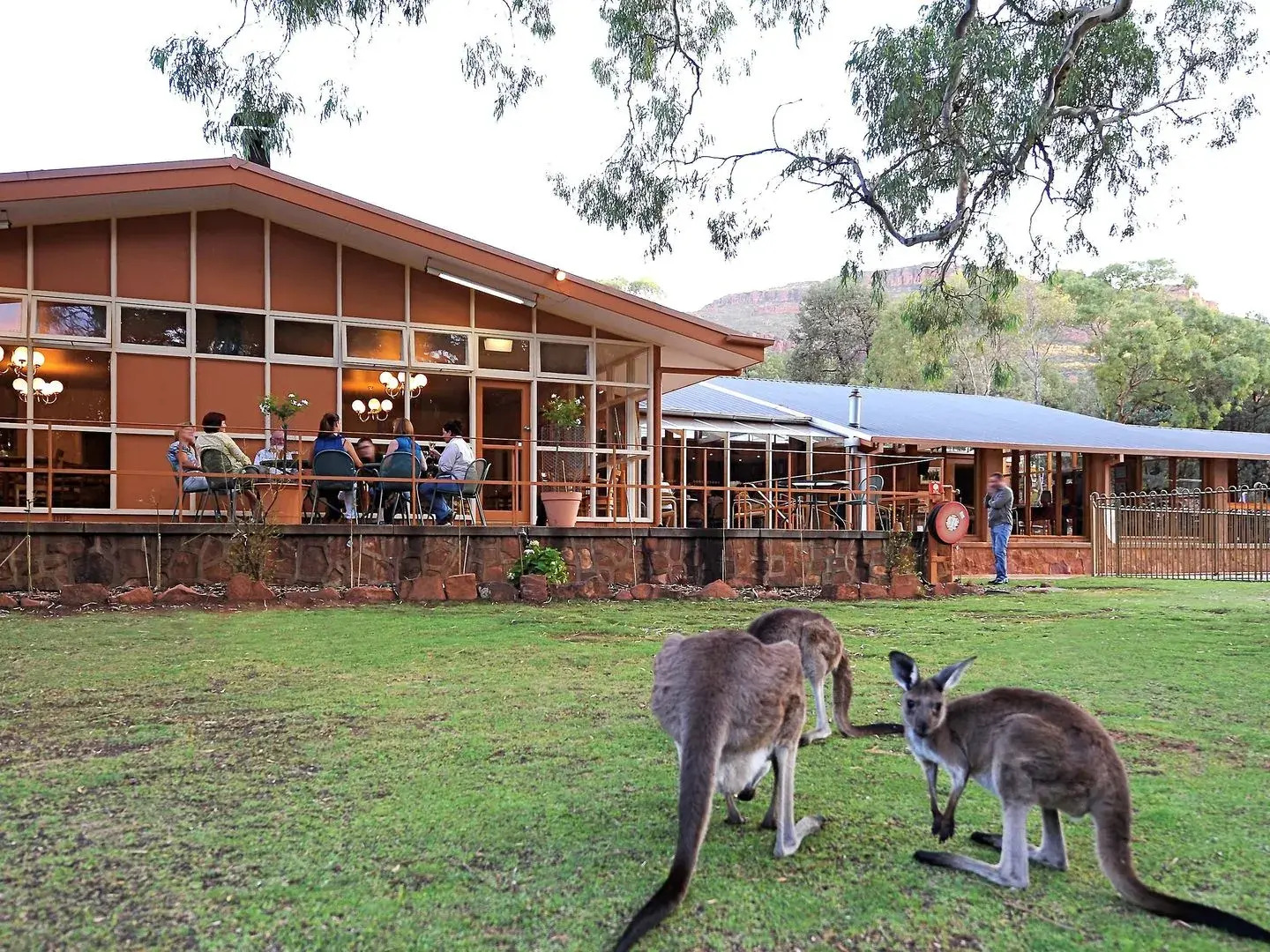 Discovery Resorts – Wilpena Pound