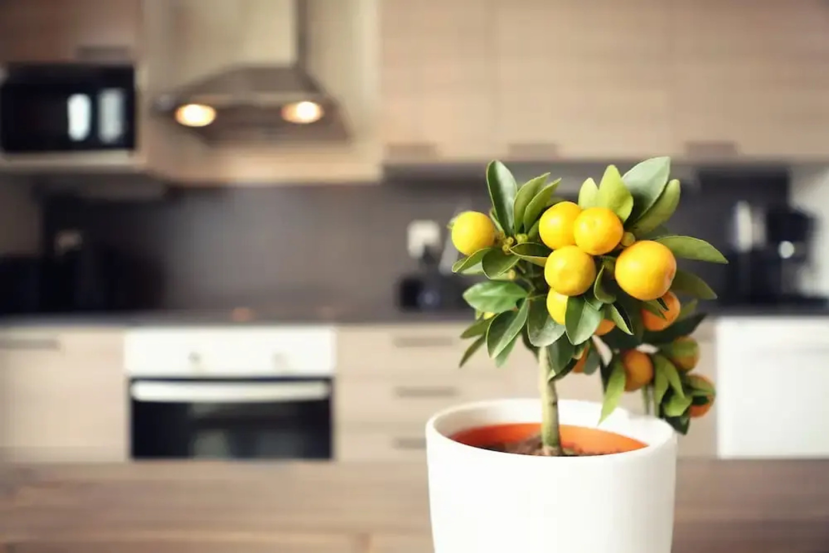 Nallikari Seaside Villas