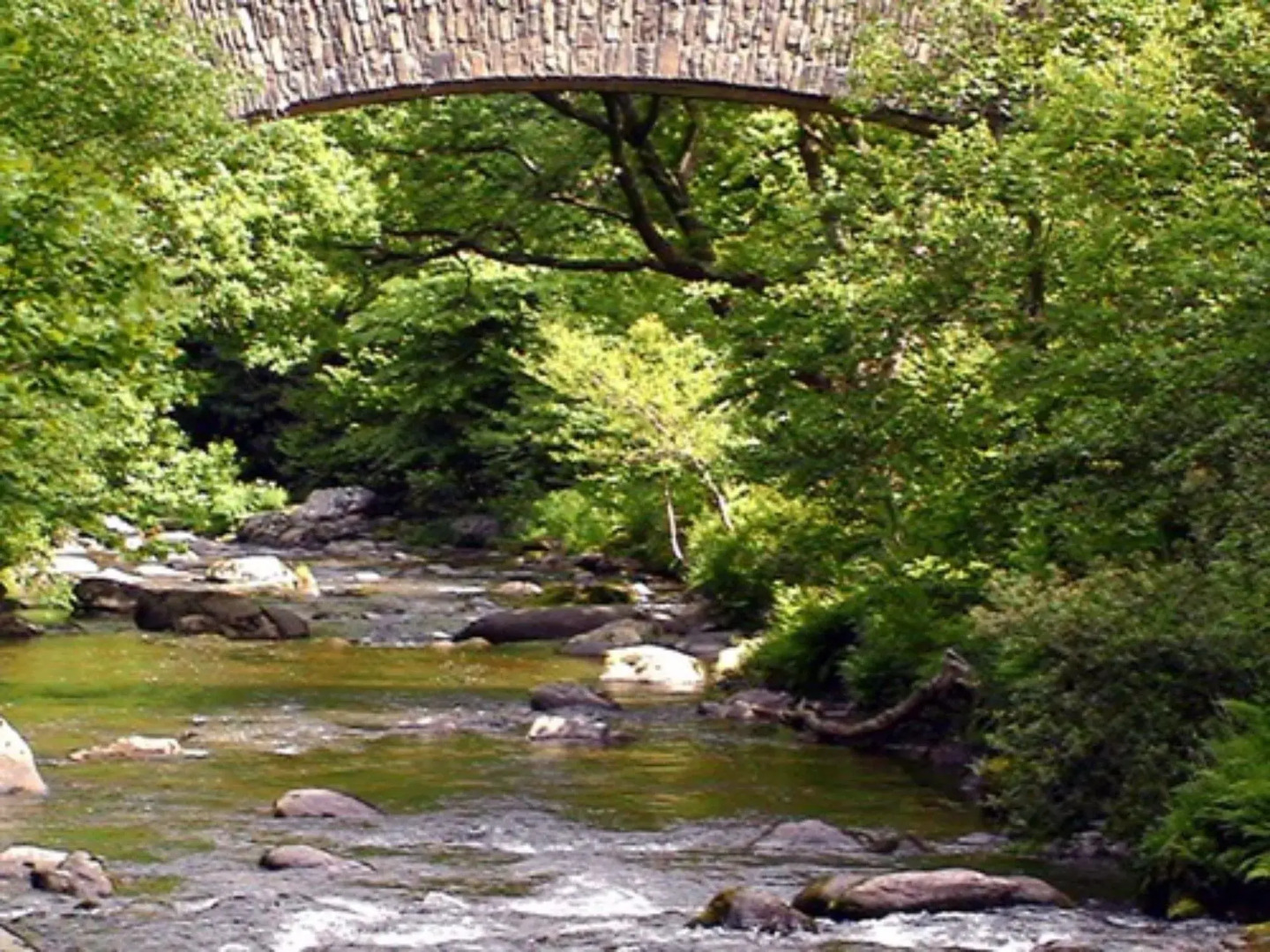 Hillside House - Guest House