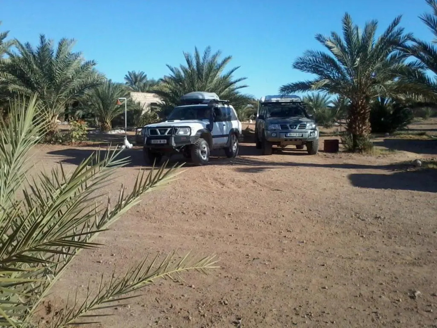 Camping Les Palmeraies