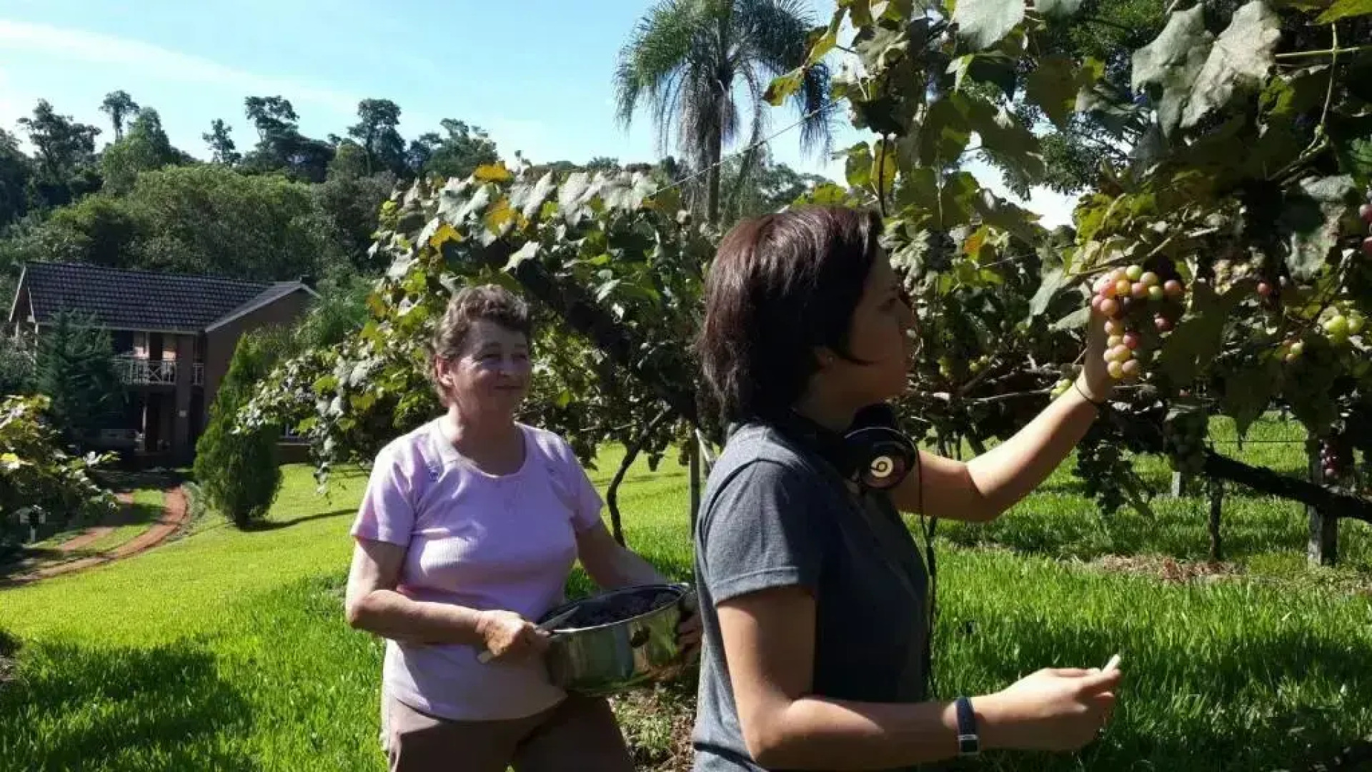 Cabañas Esencias Mocona
