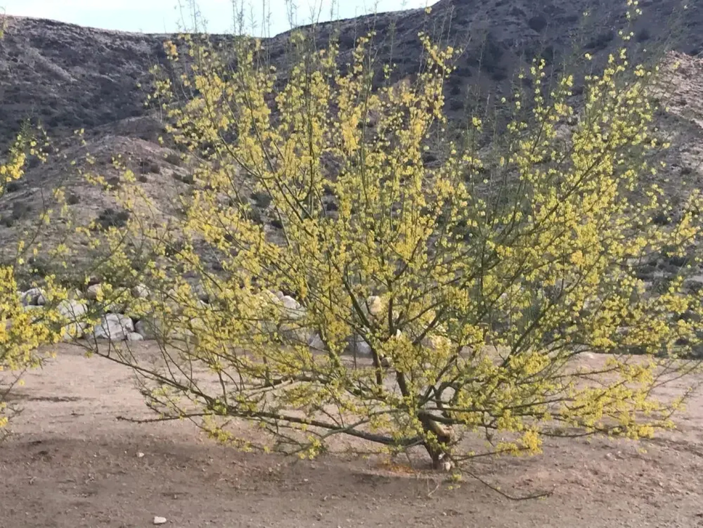 Starlight Boutique Hotel