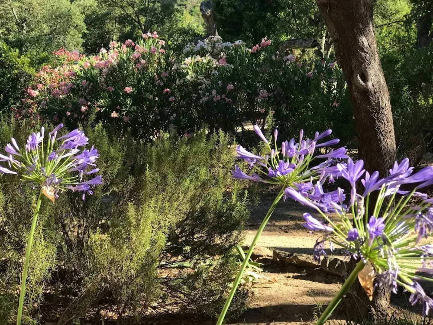 Peaceful Villa in Cogolin with Private Pool