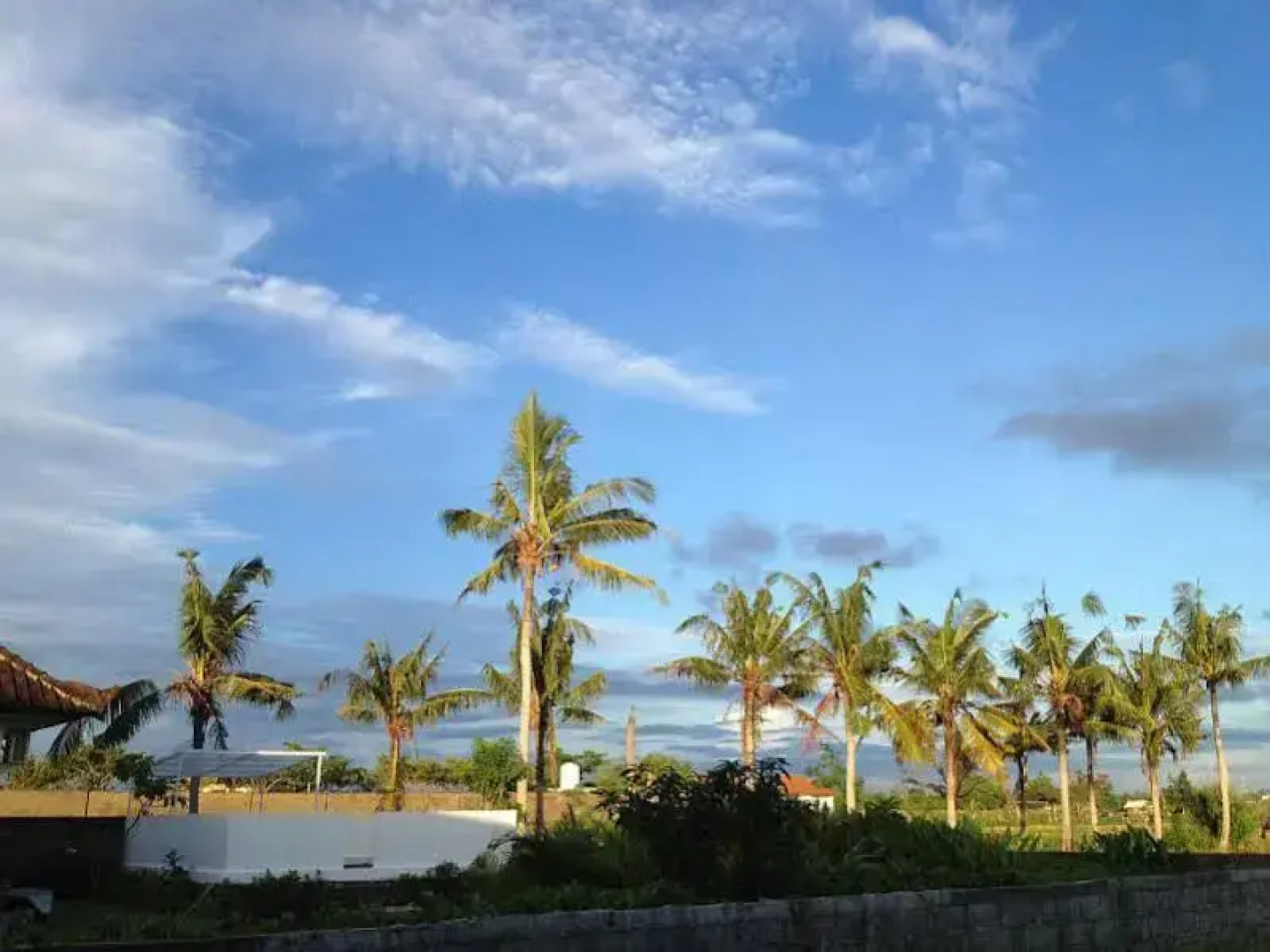 Canggu Stay