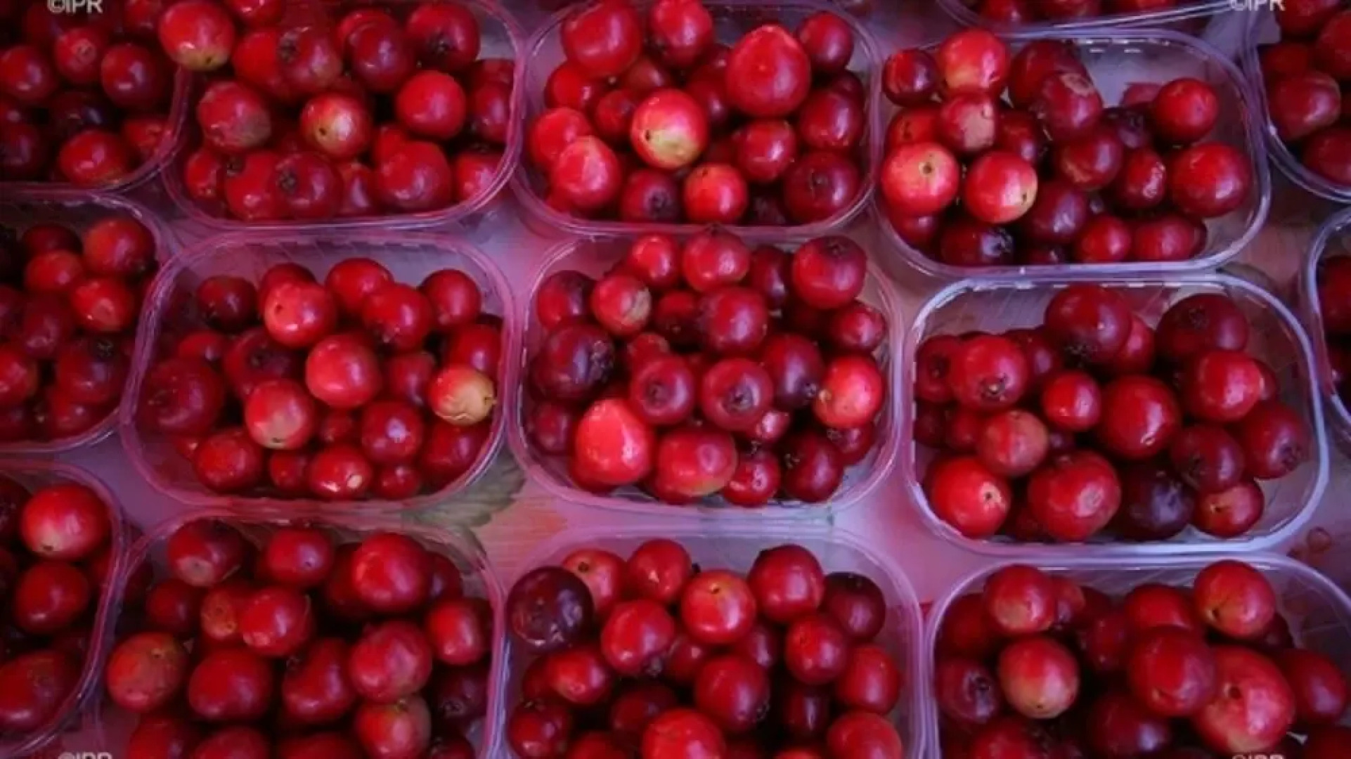 House With 2 Bedrooms in Plaine des Palmistes, With Wonderful Mountain